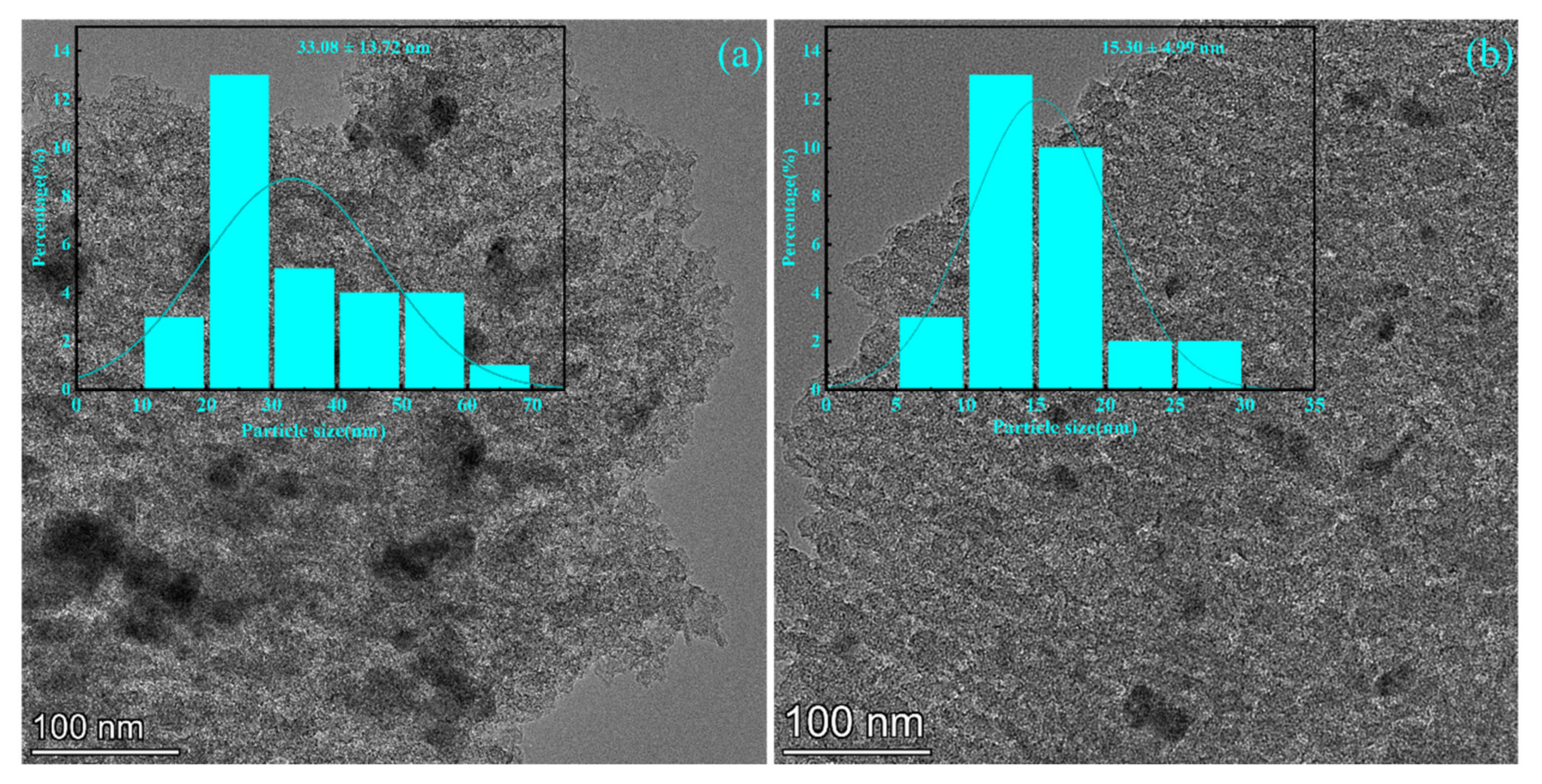Nanomaterials 13 00393 g005 Nanomaterials 13 00393 g005