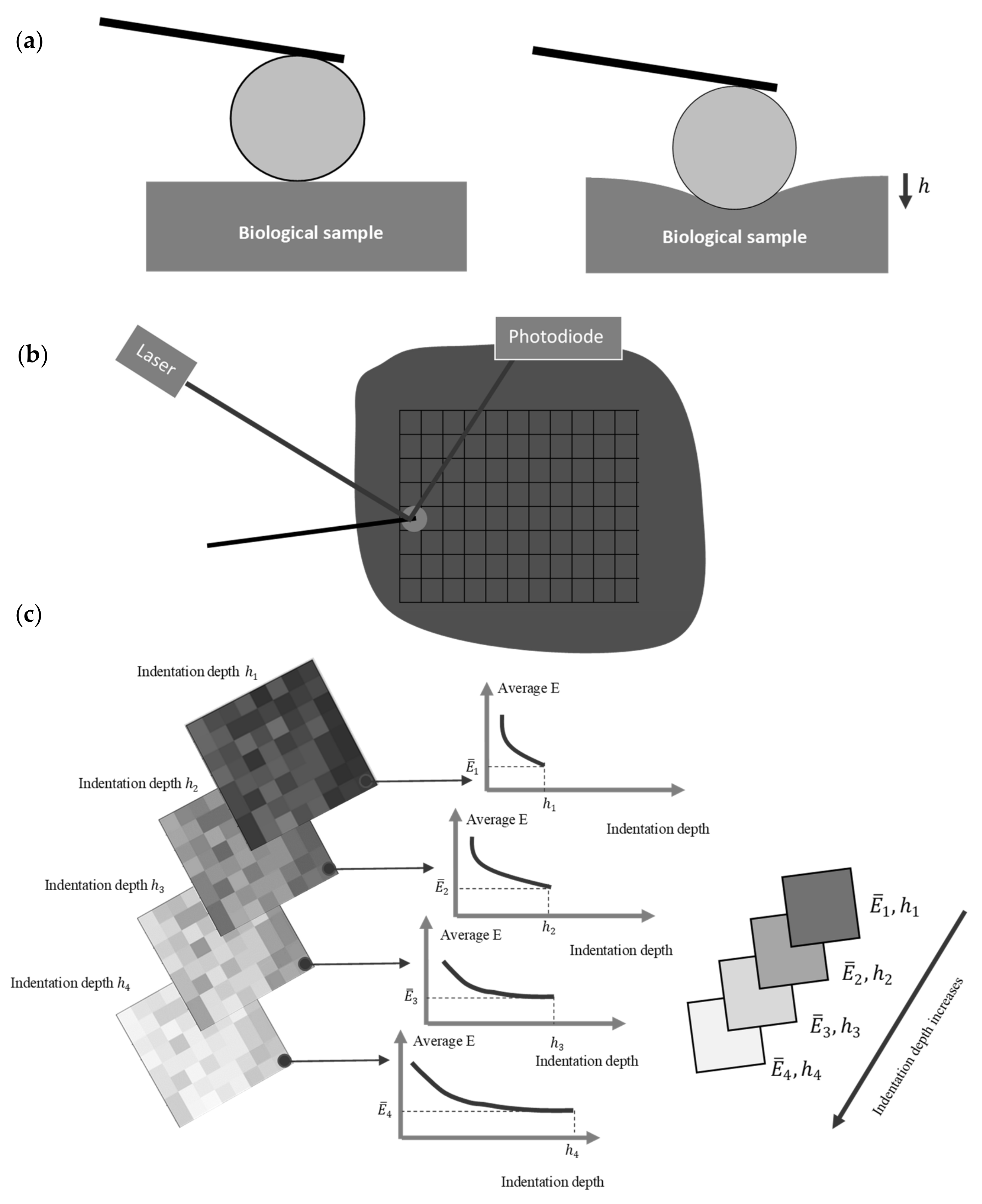 Nanomaterials 13 00395 g001 Nanomaterials 13 00395 g001