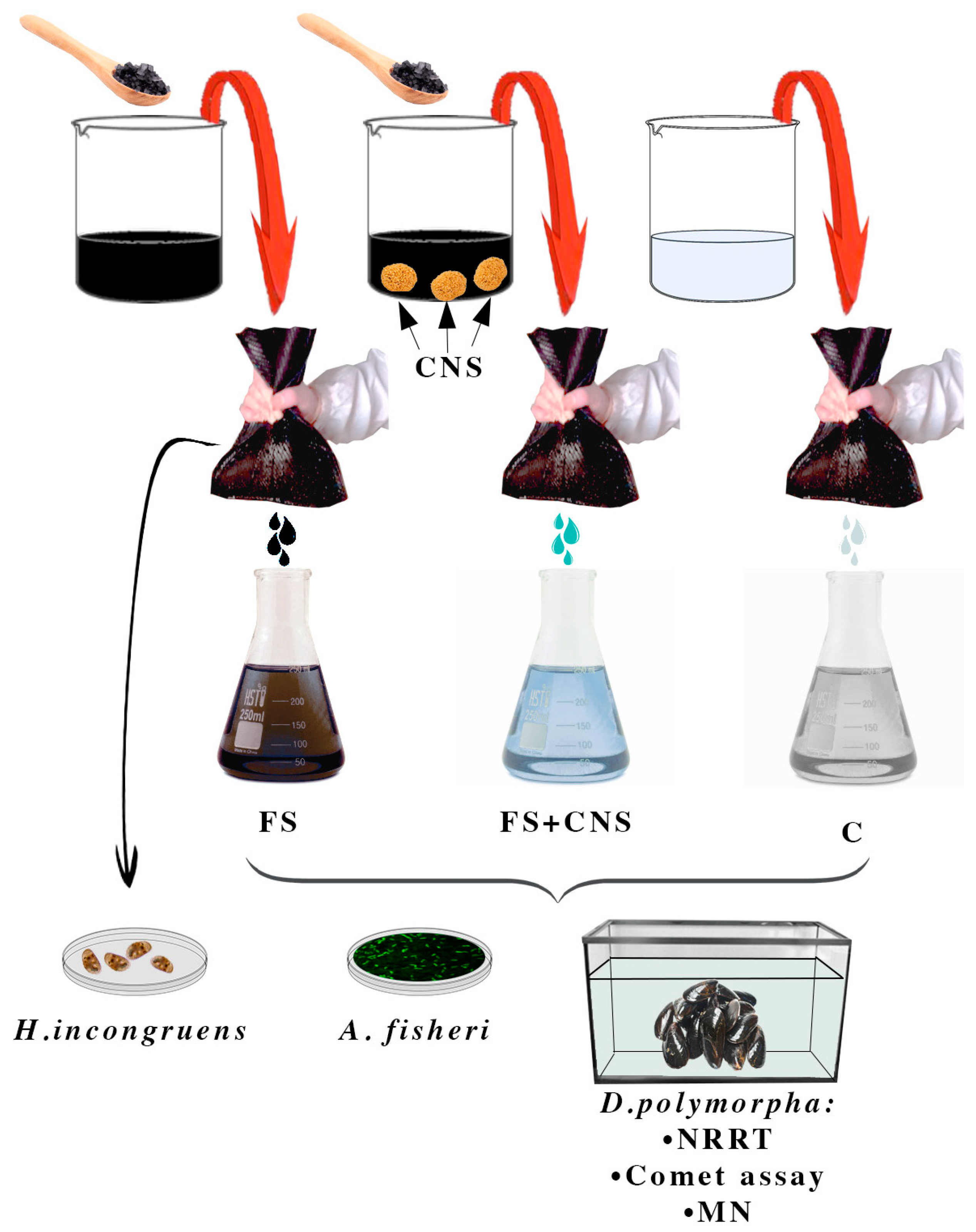 Nanomaterials 13 00396 g001