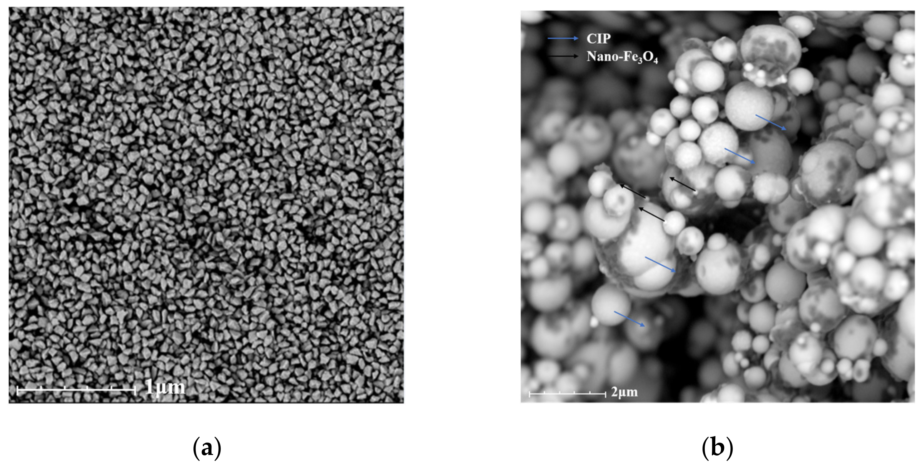 Nanomaterials 13 00398 g006