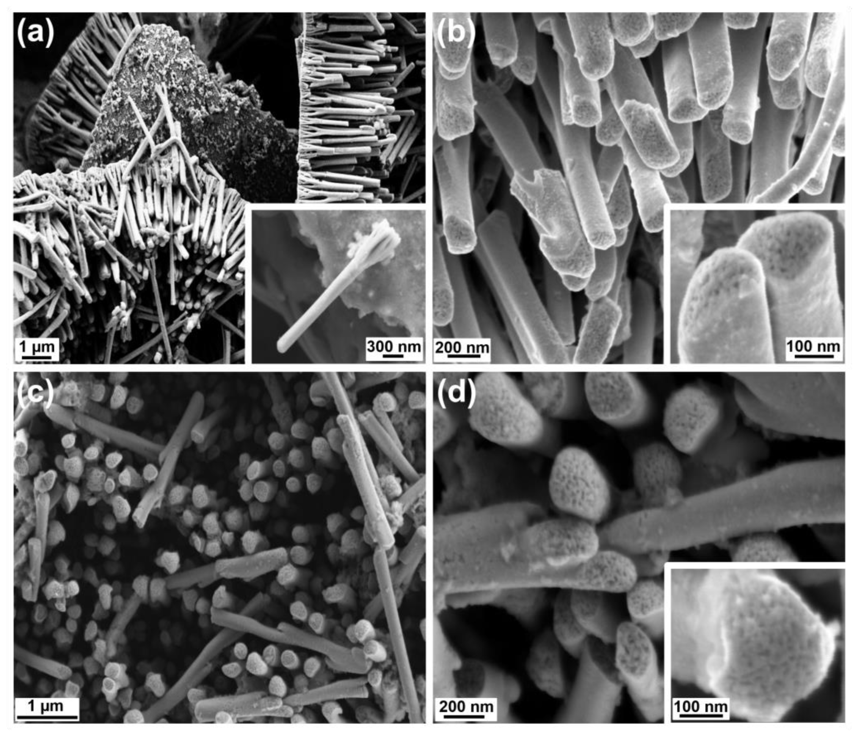 Nanomaterials 13 00403 g004 Nanomaterials 13 00403 g004