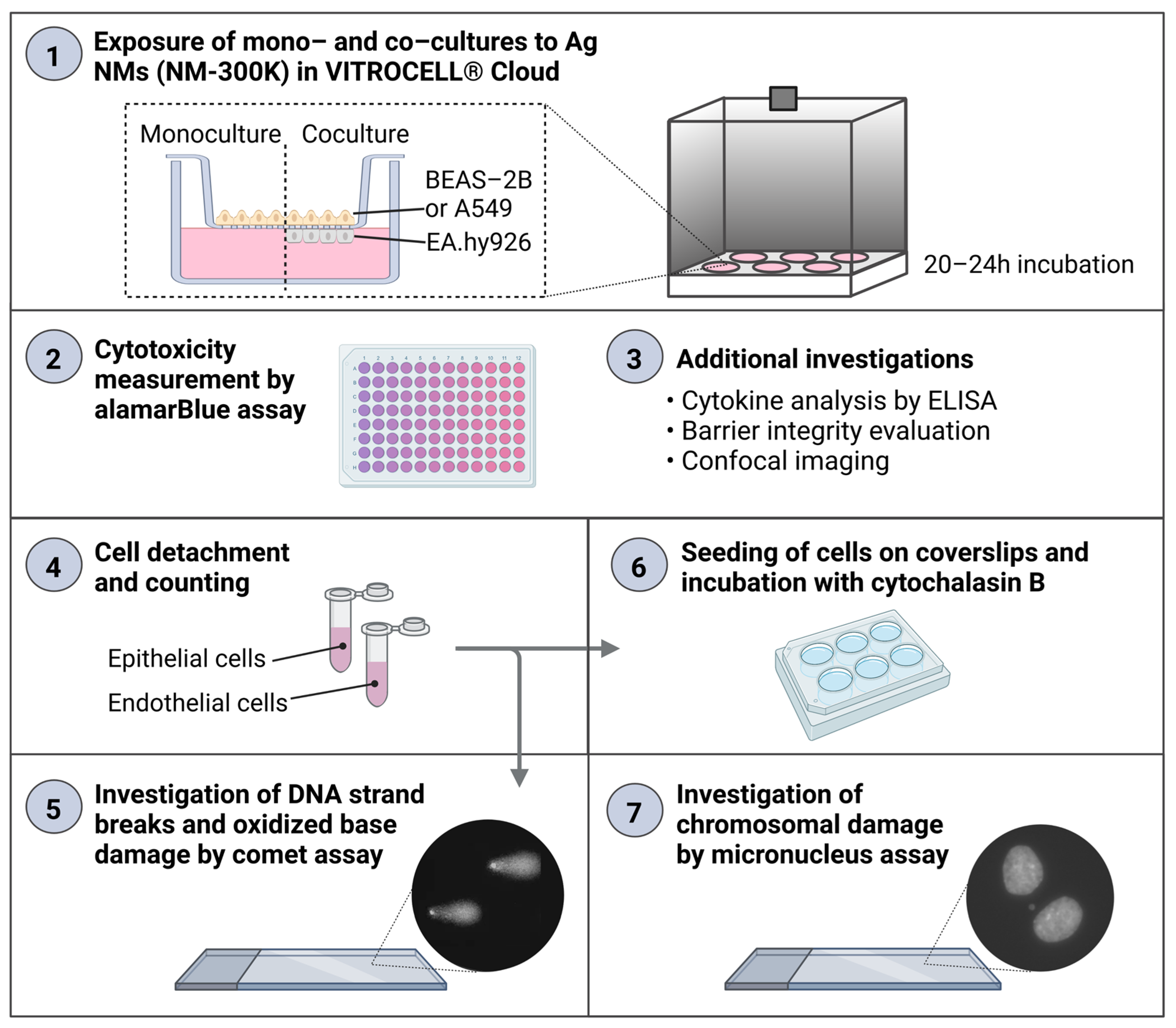 Nanomaterials 13 00407 g001 Nanomaterials 13 00407 g001