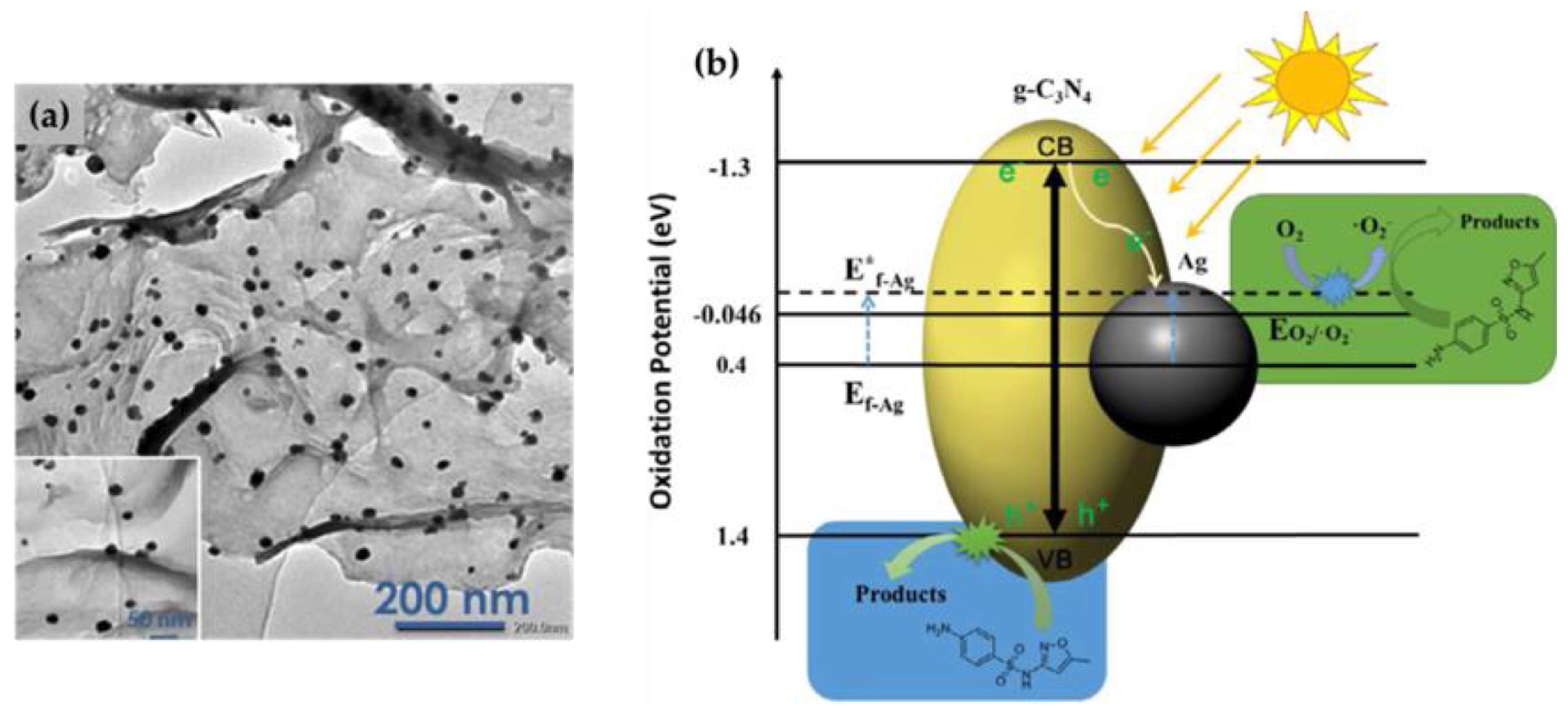 Nanomaterials 13 00408 g002