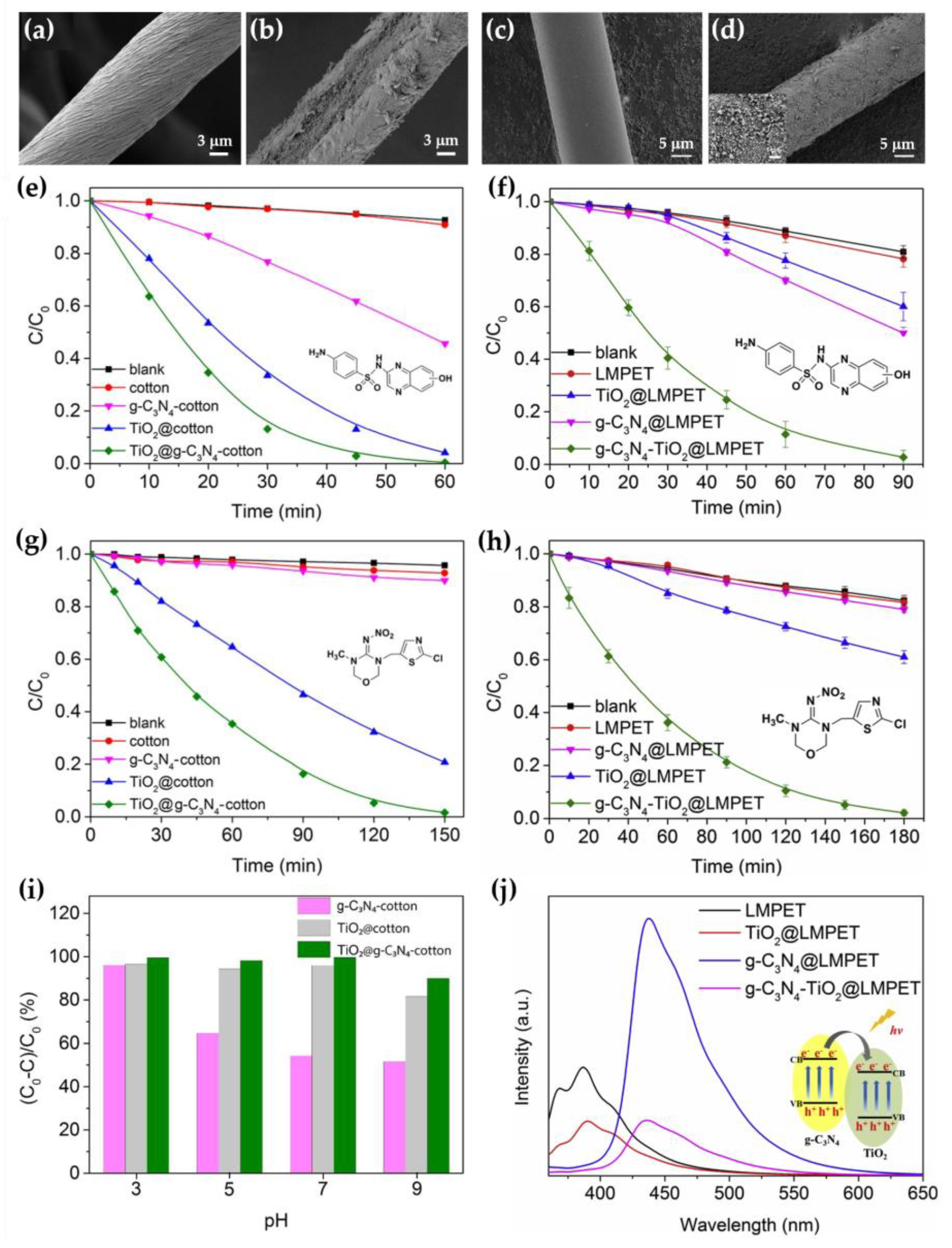 Nanomaterials 13 00408 g008