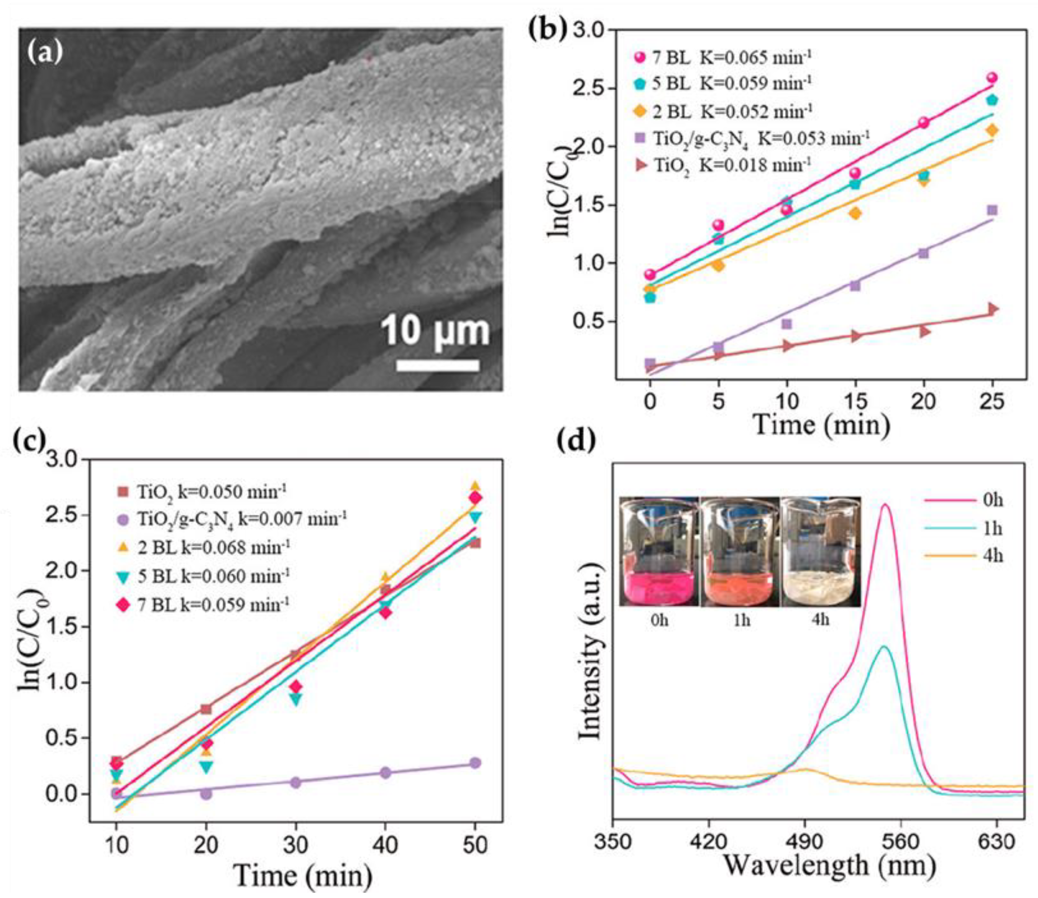 Nanomaterials 13 00408 g009