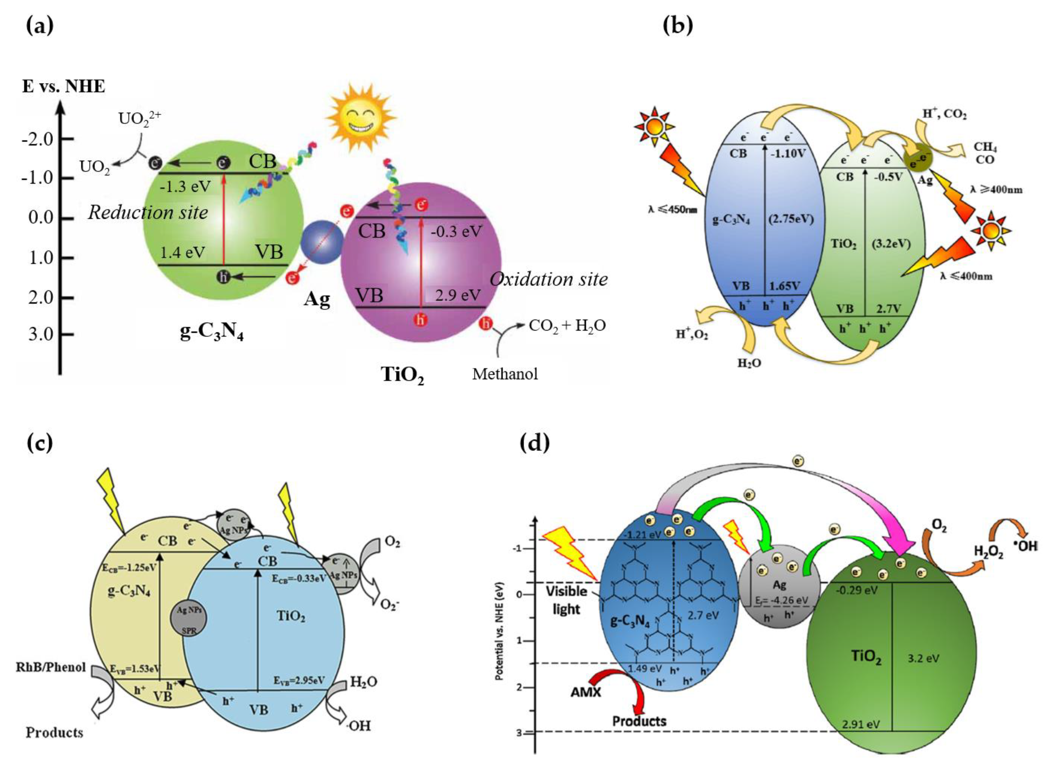 Nanomaterials 13 00408 g012