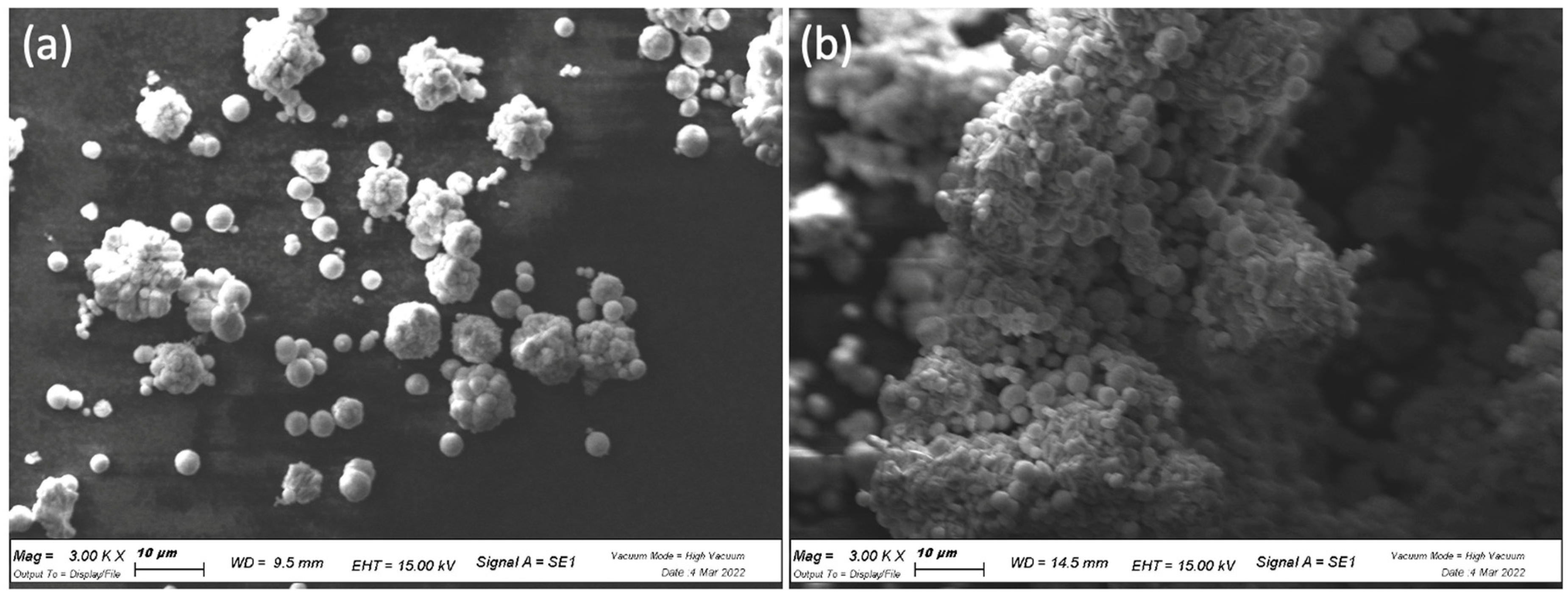 Nanomaterials 13 00413 g002