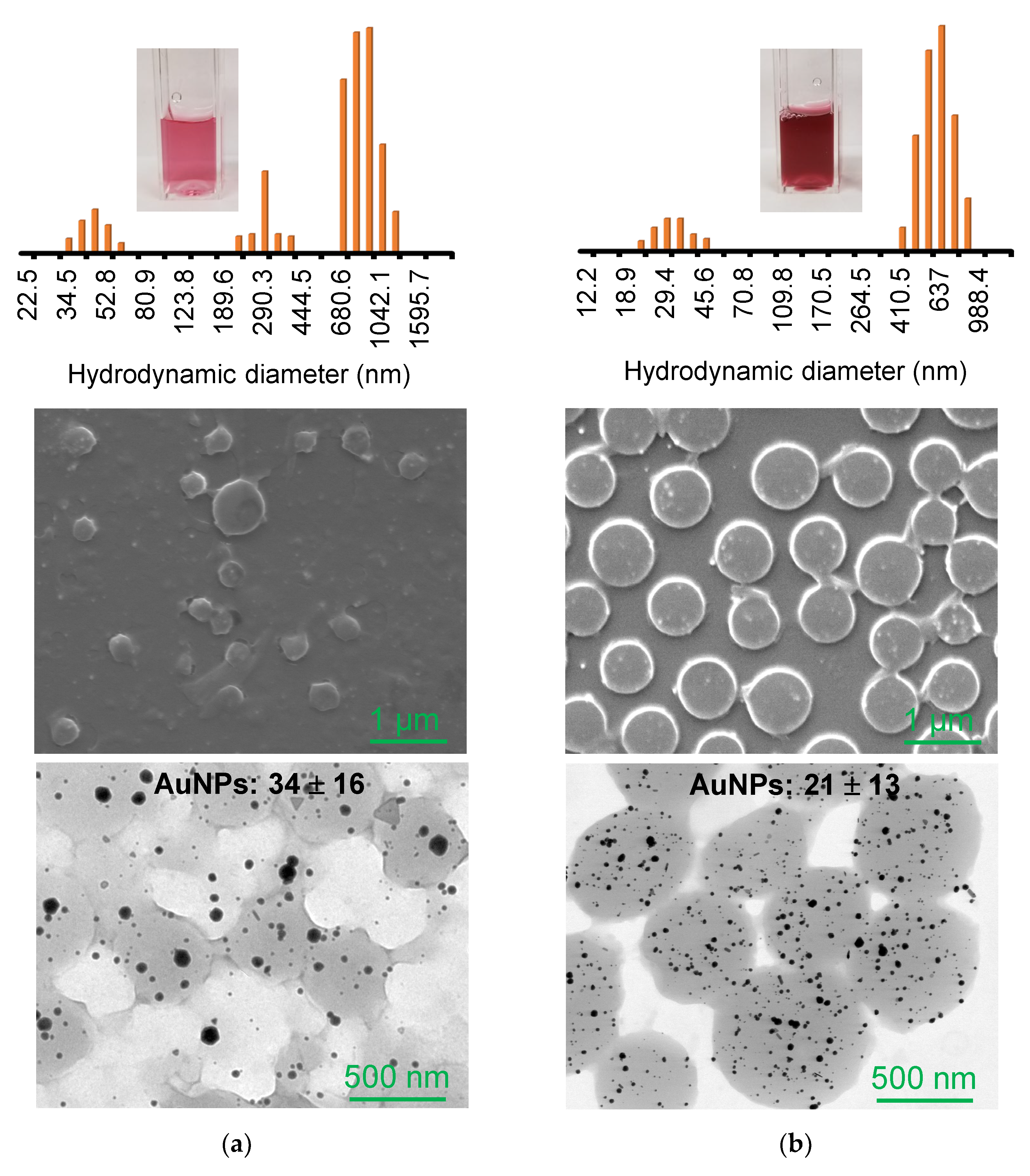 Nanomaterials 13 00416 g002
