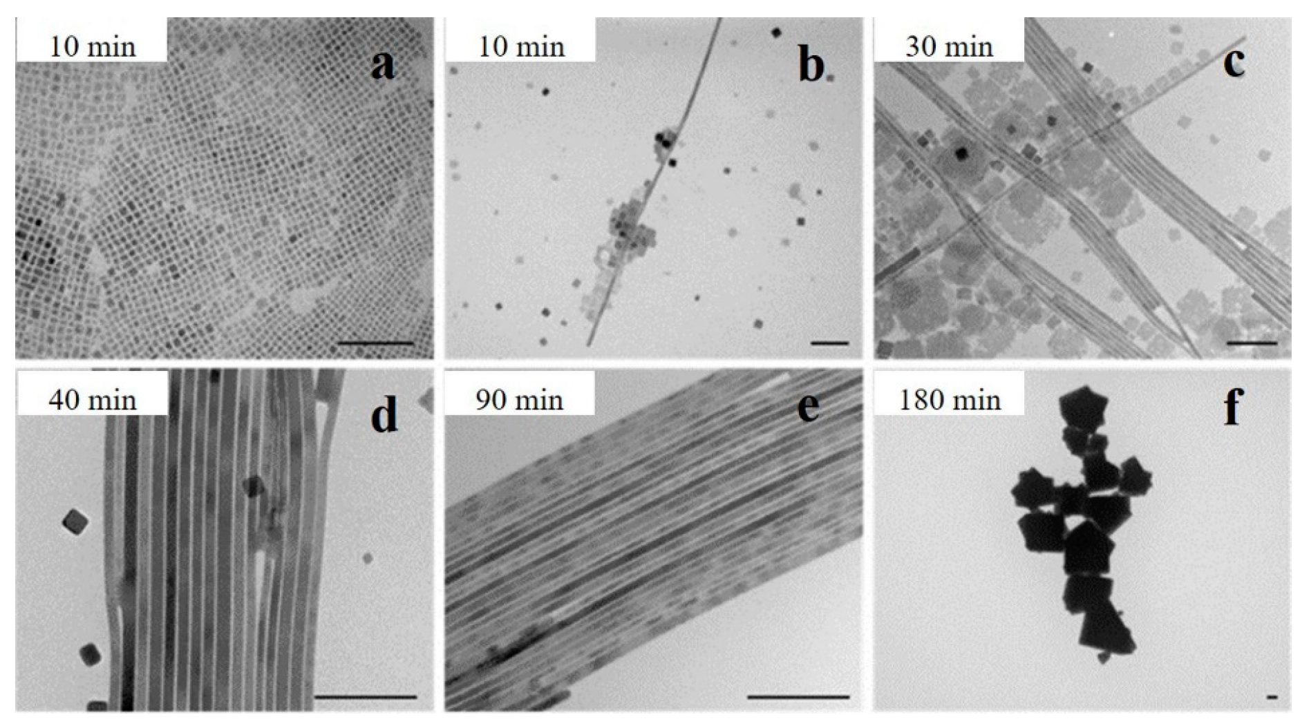 Nanomaterials 13 00419 g002