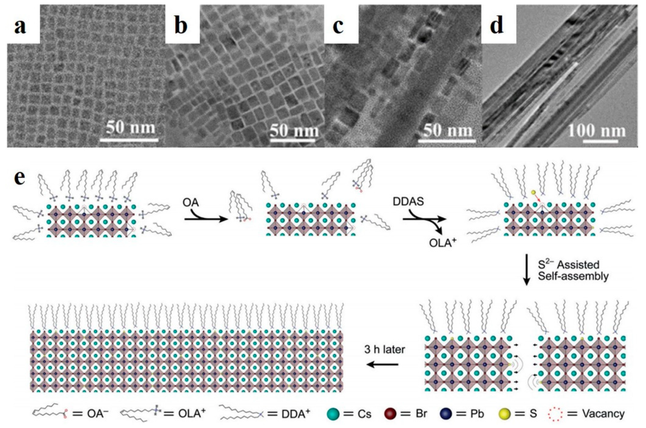 Nanomaterials 13 00419 g005