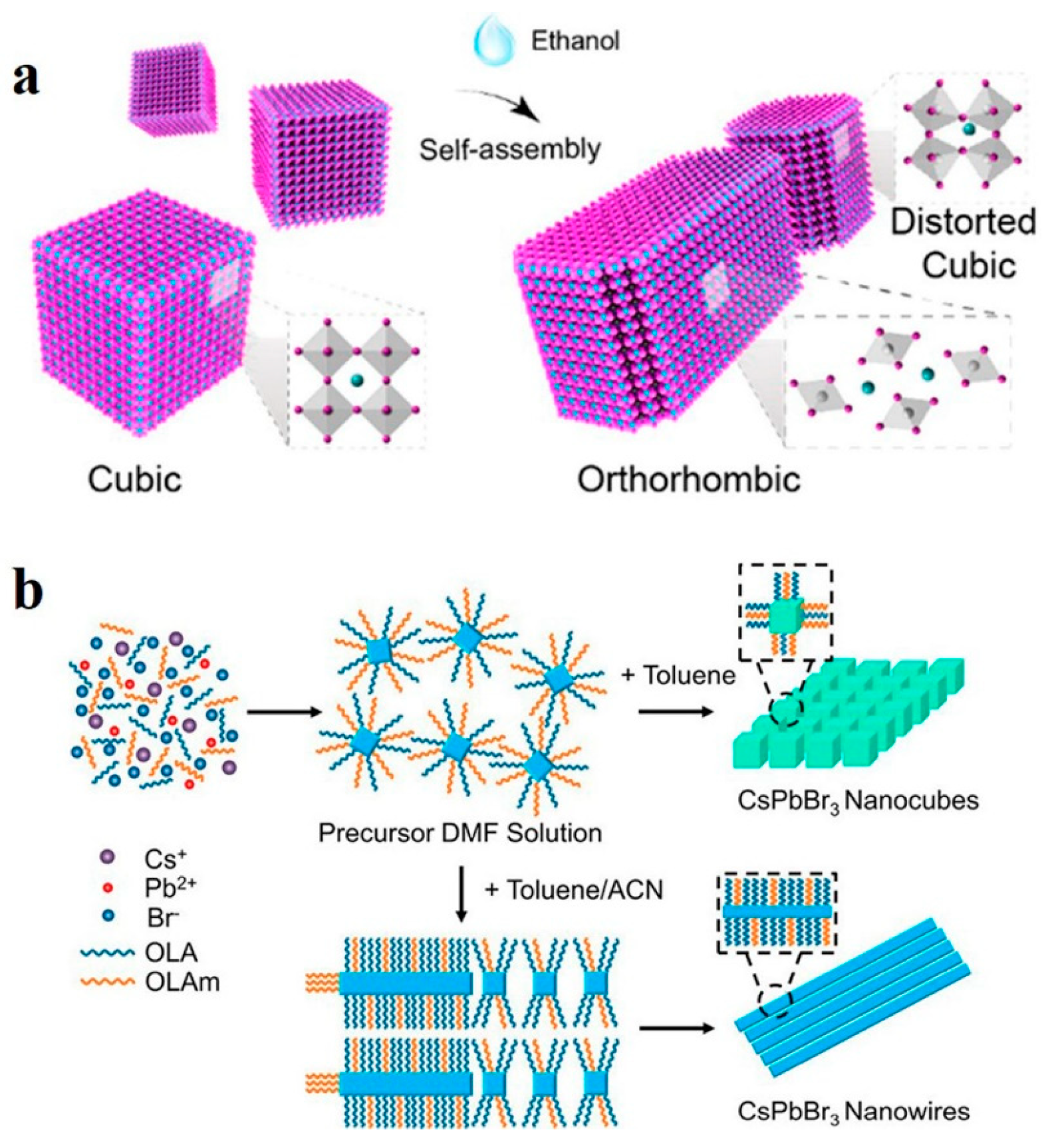 Nanomaterials 13 00419 g007