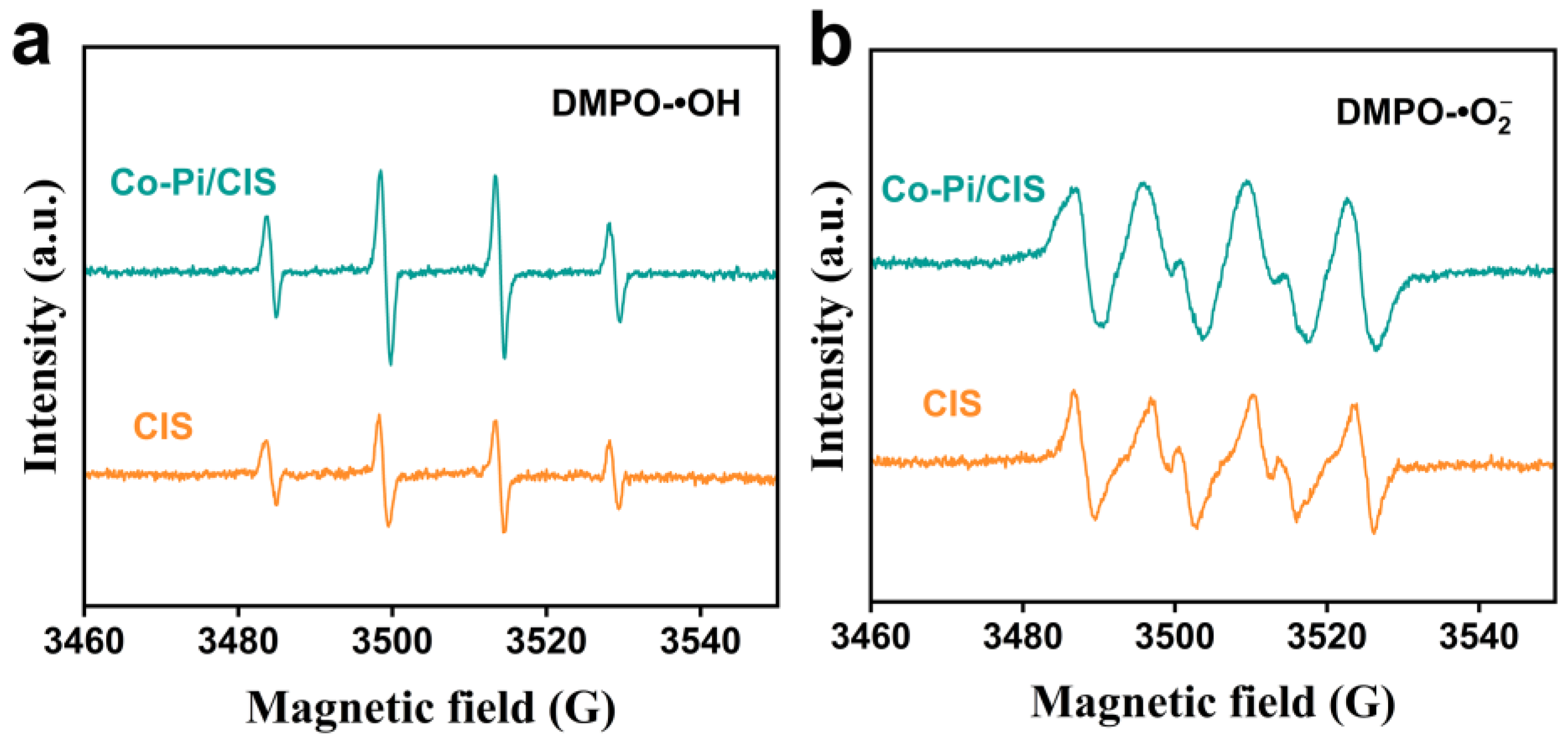 Nanomaterials 13 00420 g005