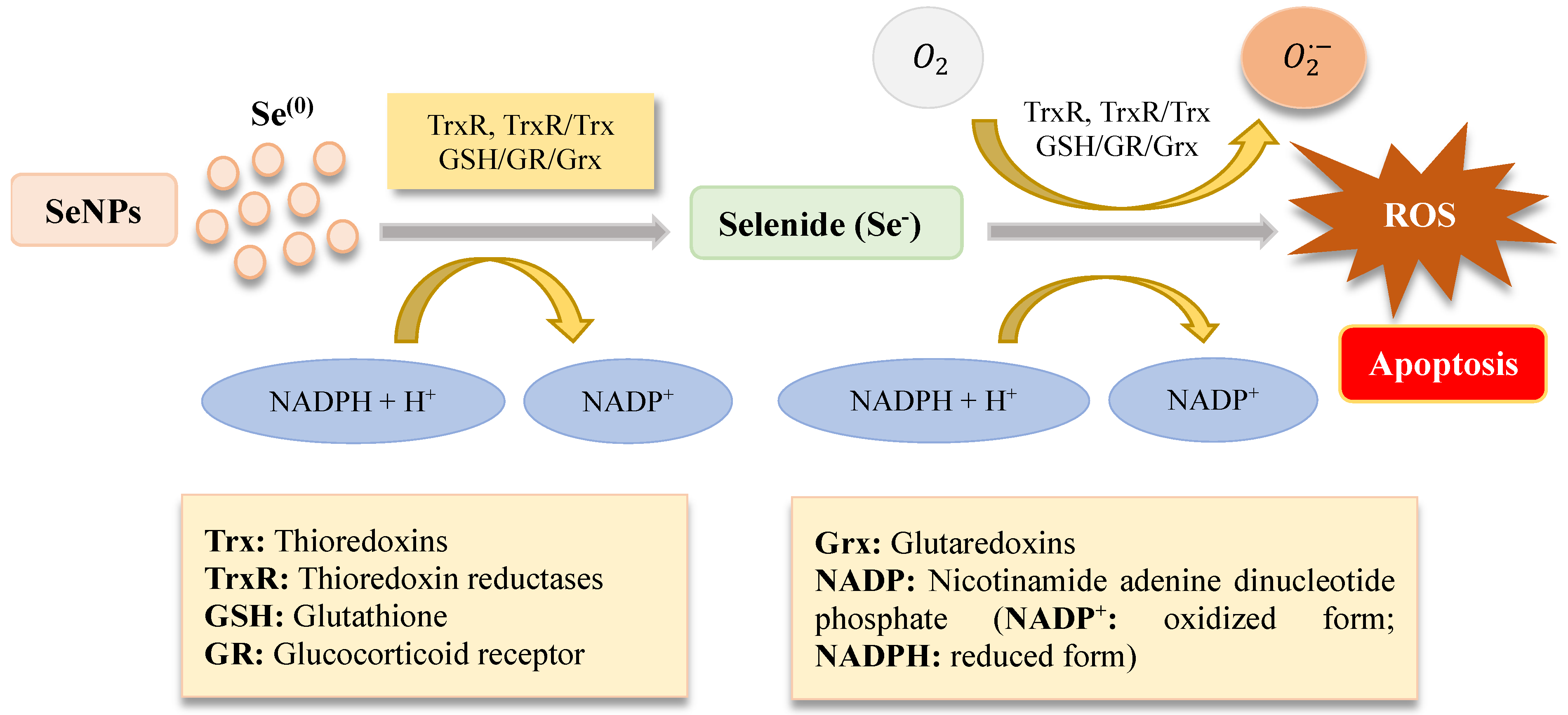 Nanomaterials 13 00424 g005 Nanomaterials 13 00424 g005