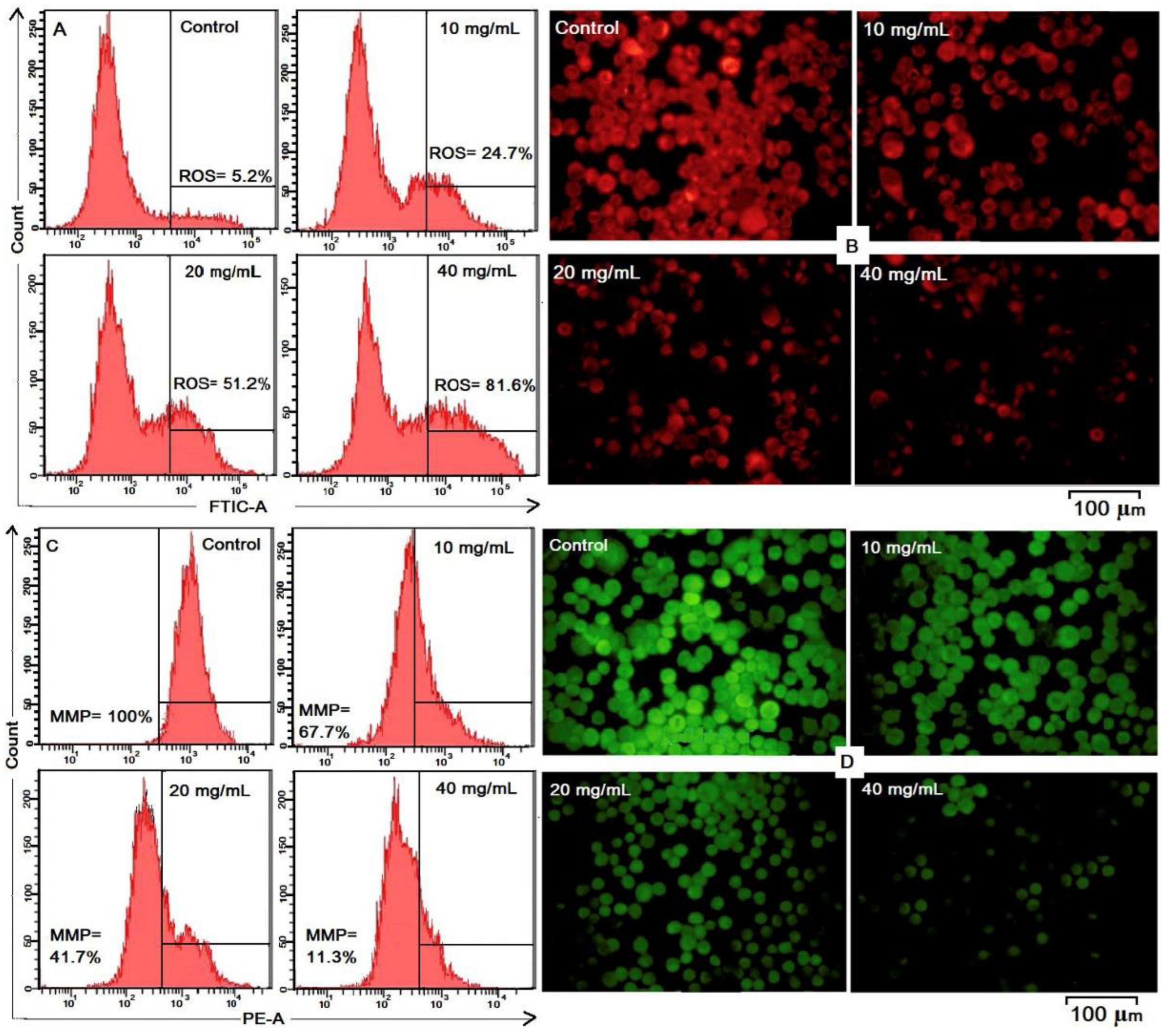 Nanomaterials 13 00424 g011 Nanomaterials 13 00424 g011