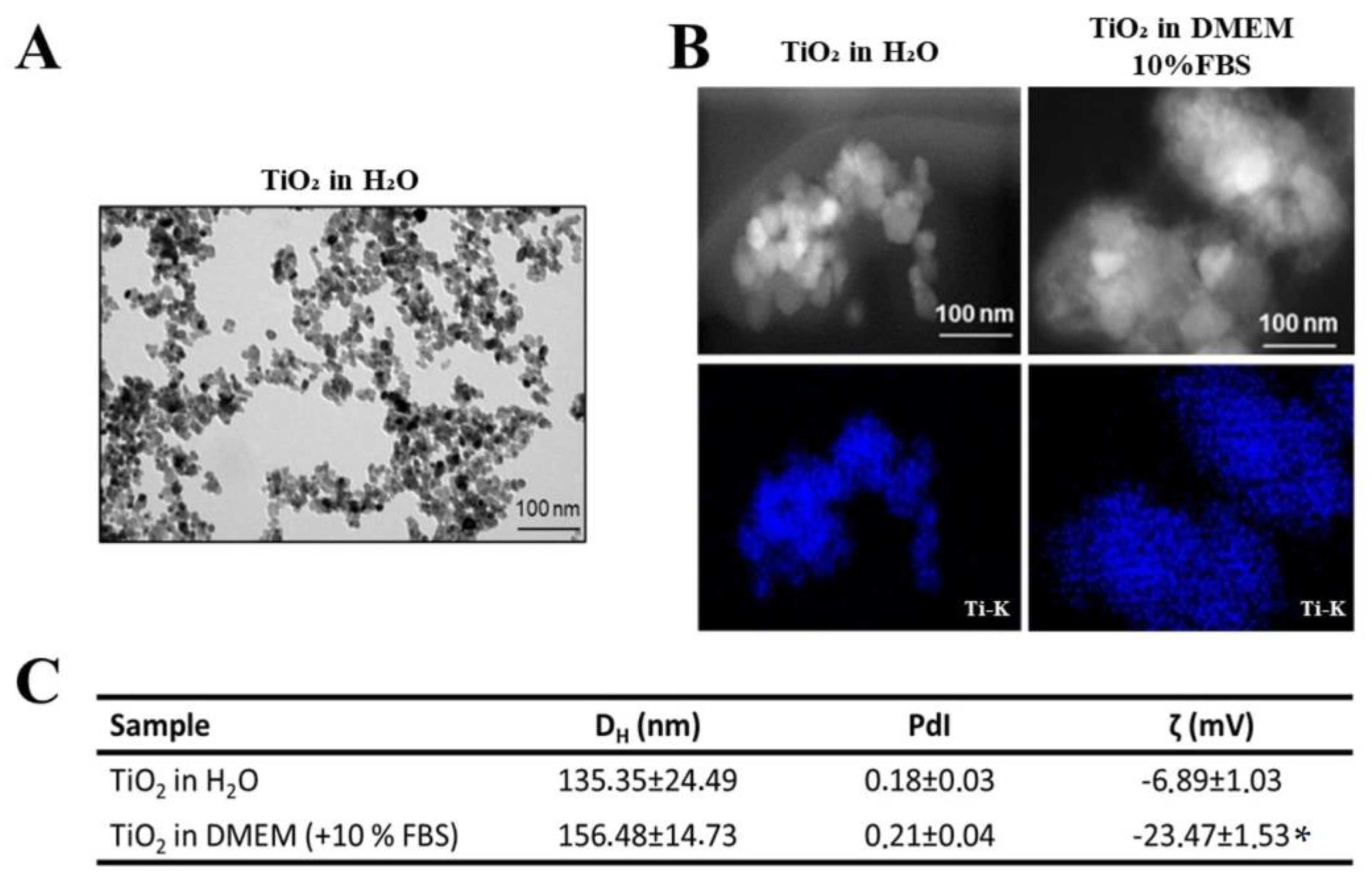 Nanomaterials 13 00425 g001