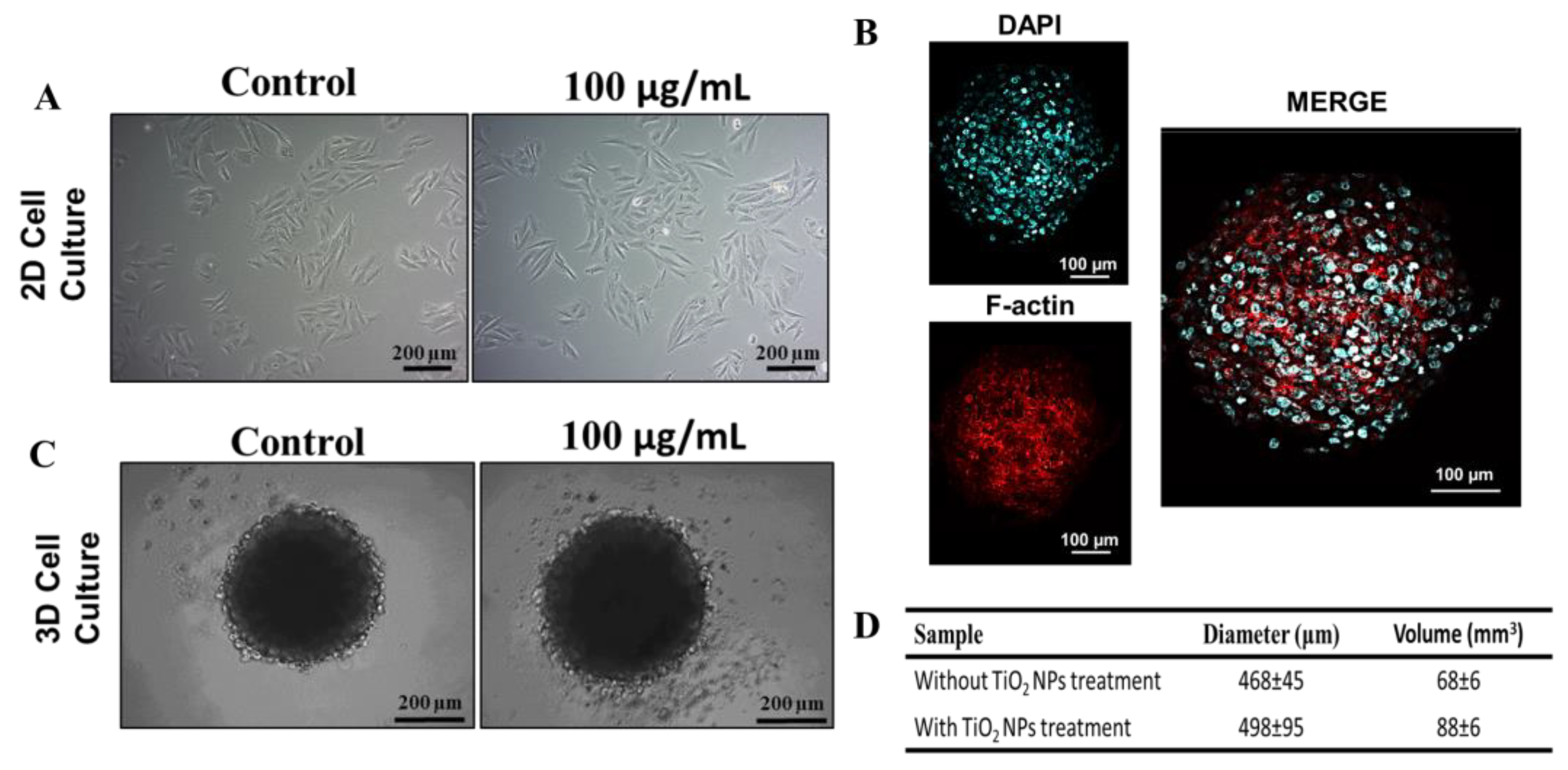 Nanomaterials 13 00425 g002