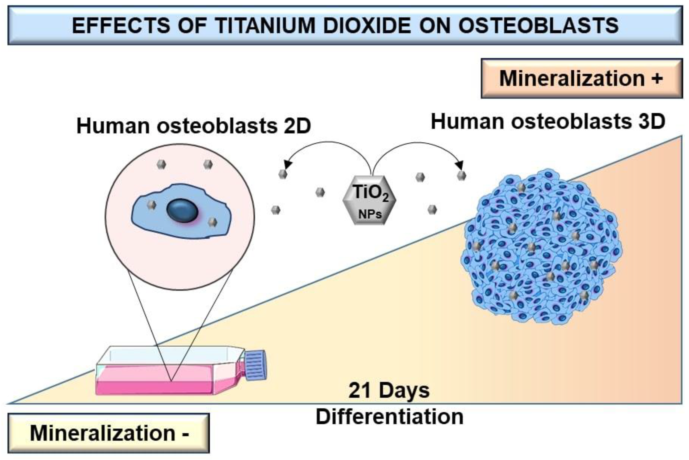 Nanomaterials 13 00425 g007