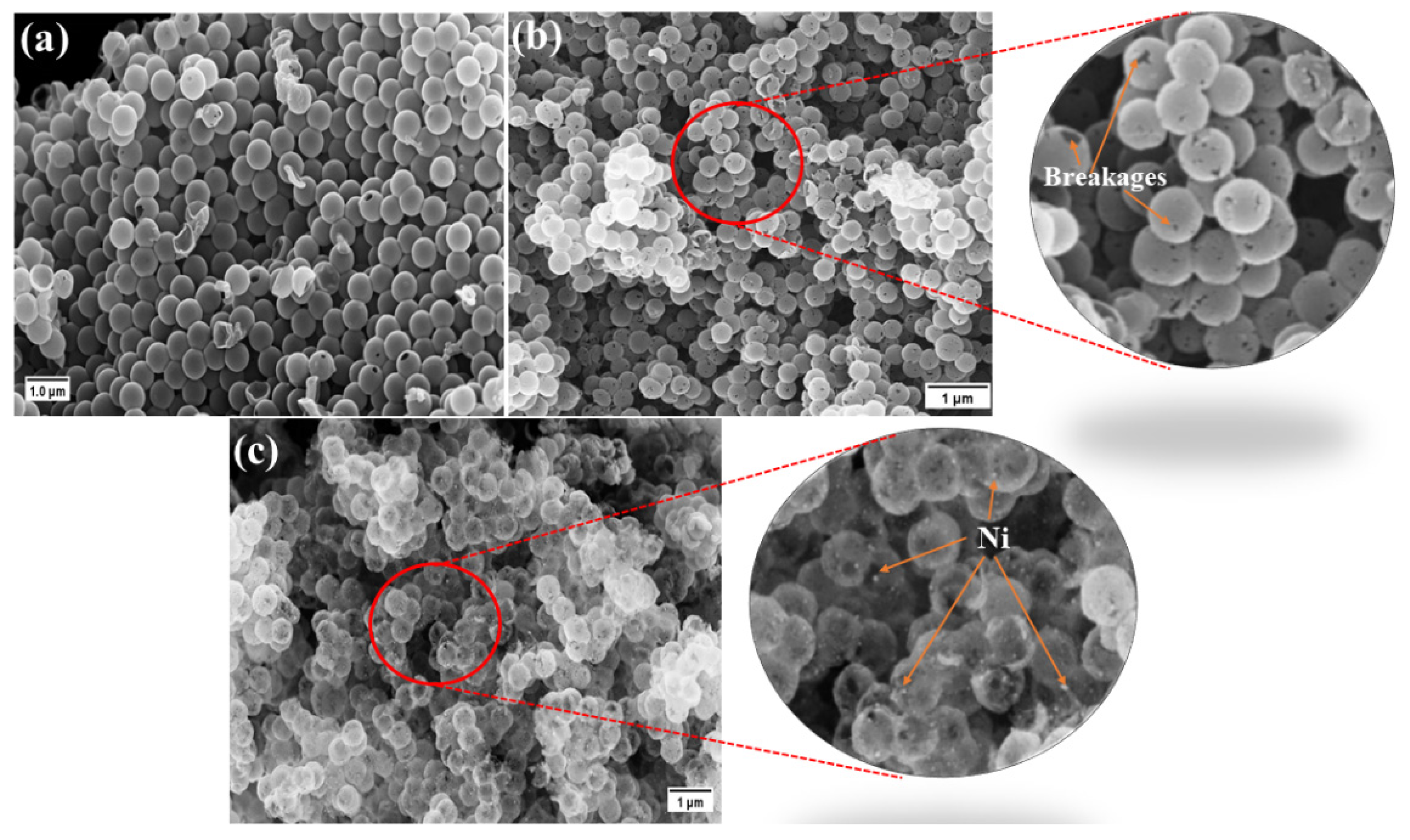Nanomaterials 13 00426 g001 Nanomaterials 13 00426 g001