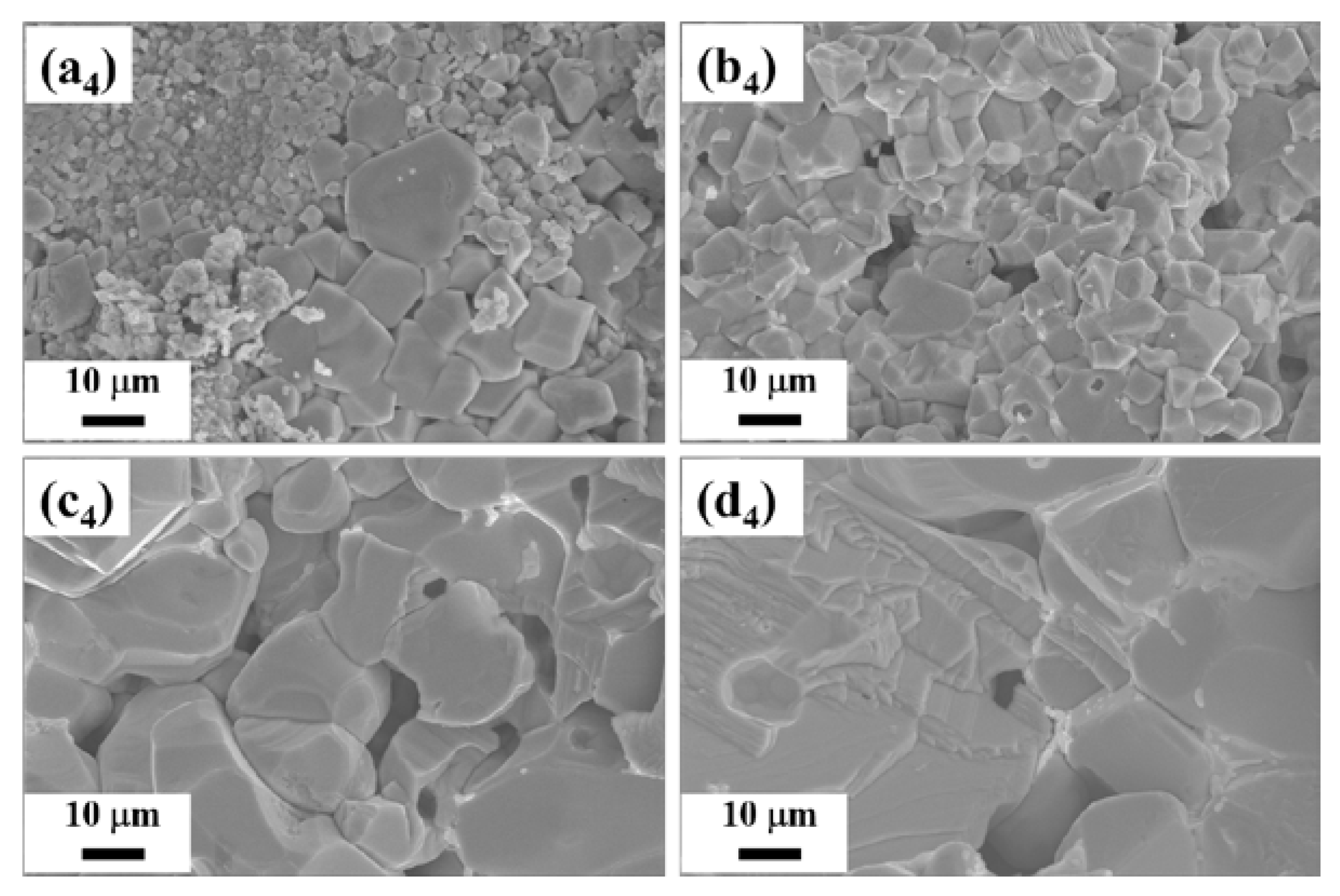 Nanomaterials 13 00427 g002