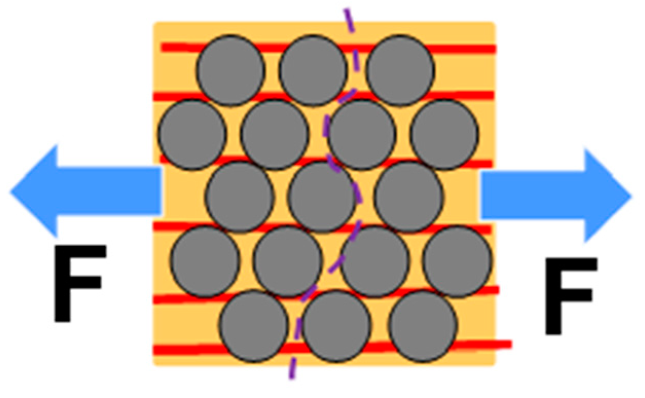 Nanomaterials 13 00431 g010