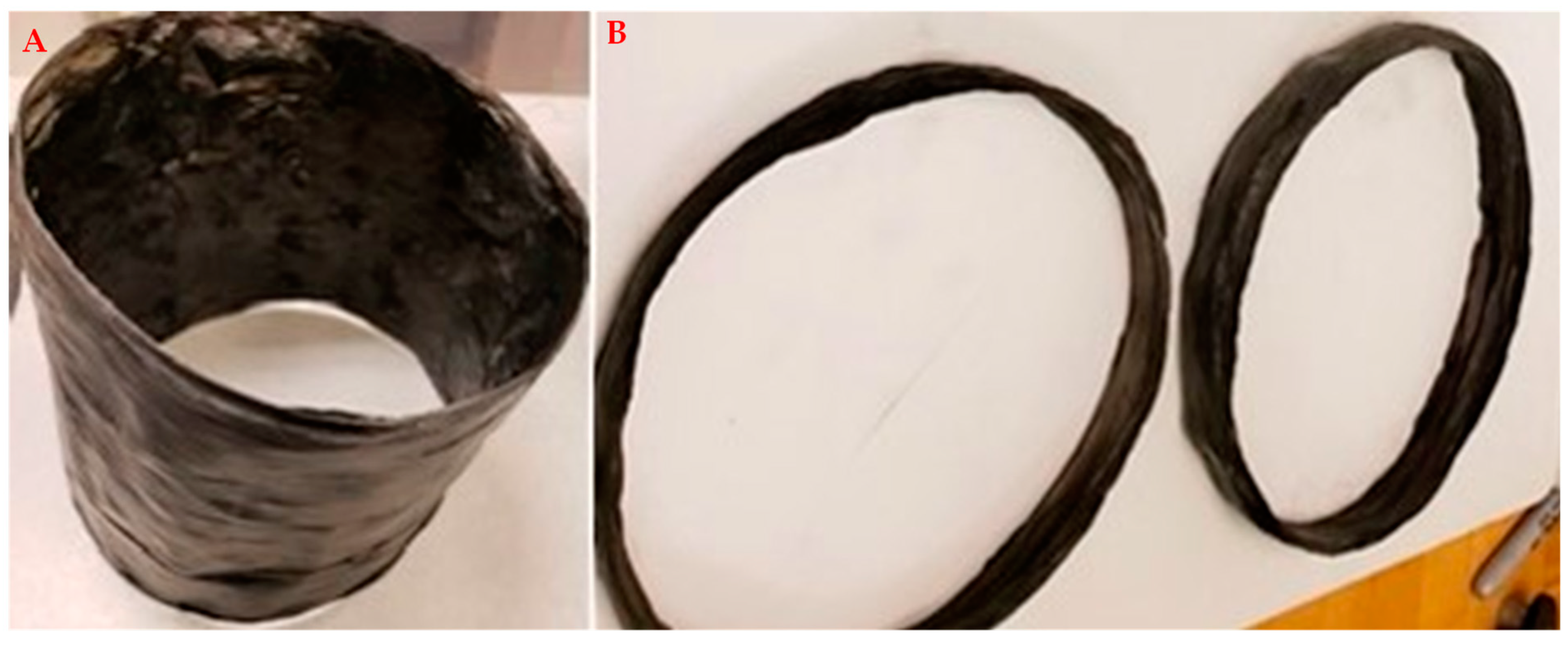 Nanomaterials 13 00431 g012