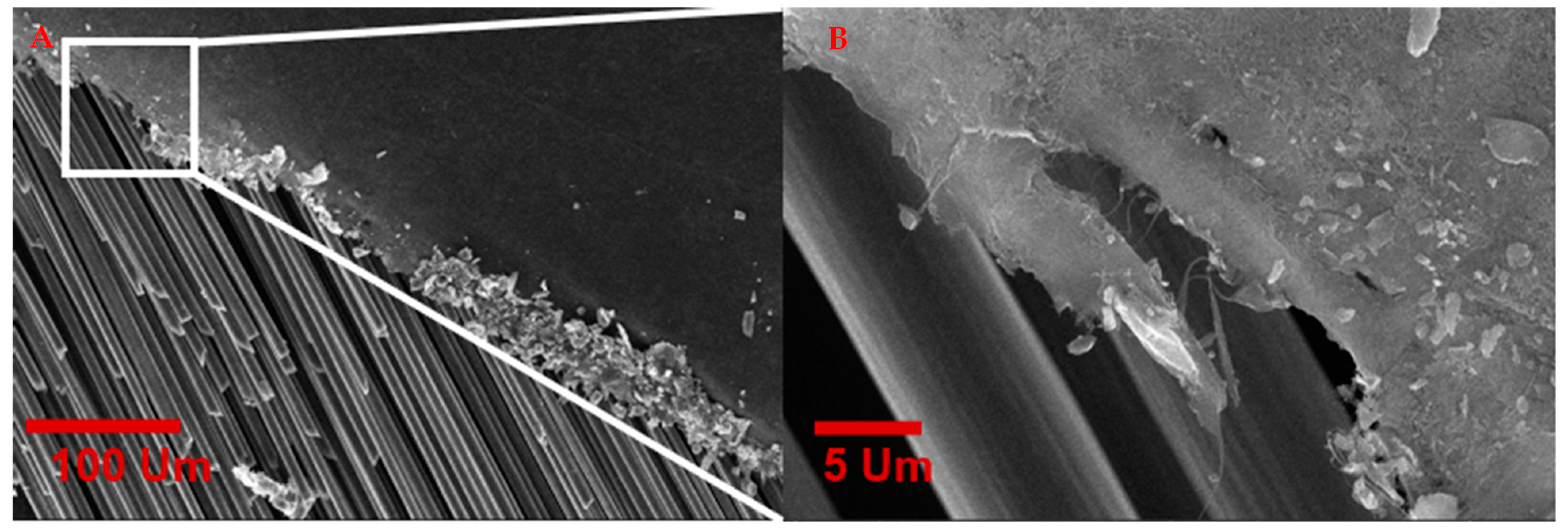 Nanomaterials 13 00431 g017