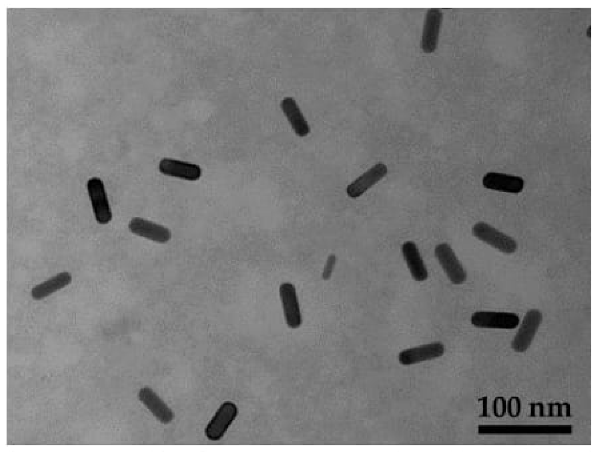 Nanomaterials 13 00434 g002