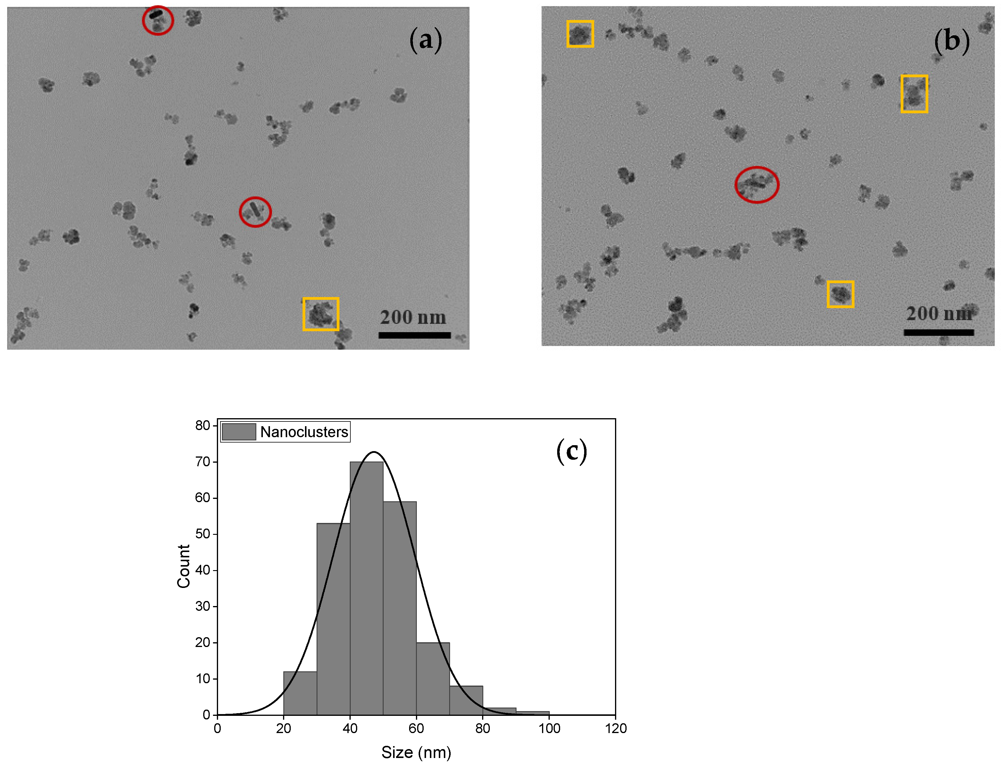 Nanomaterials 13 00434 g004