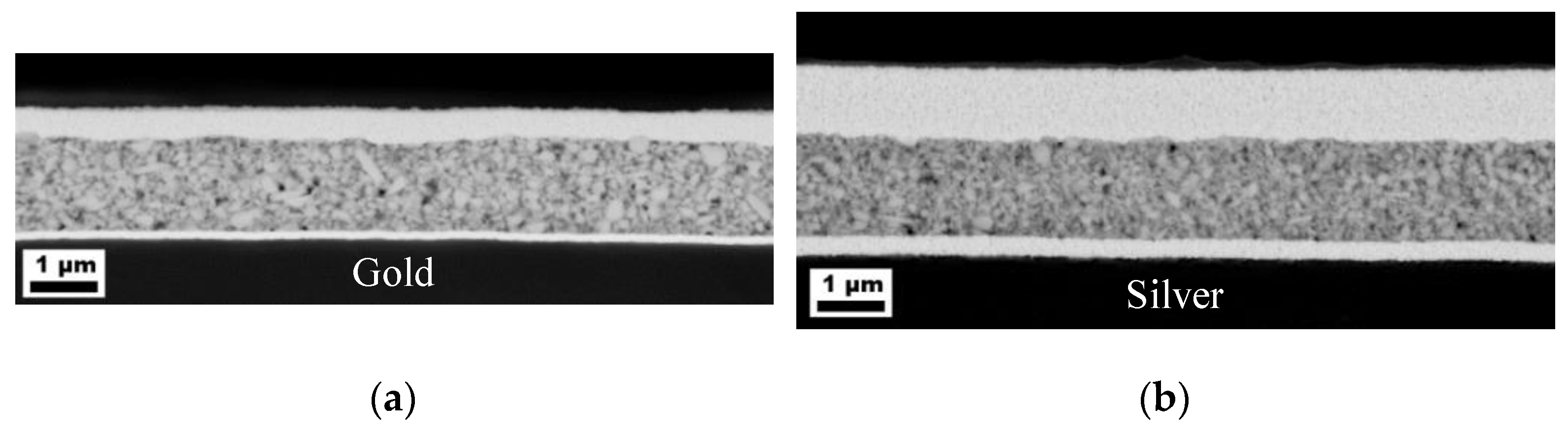 Nanomaterials 13 00441 g004