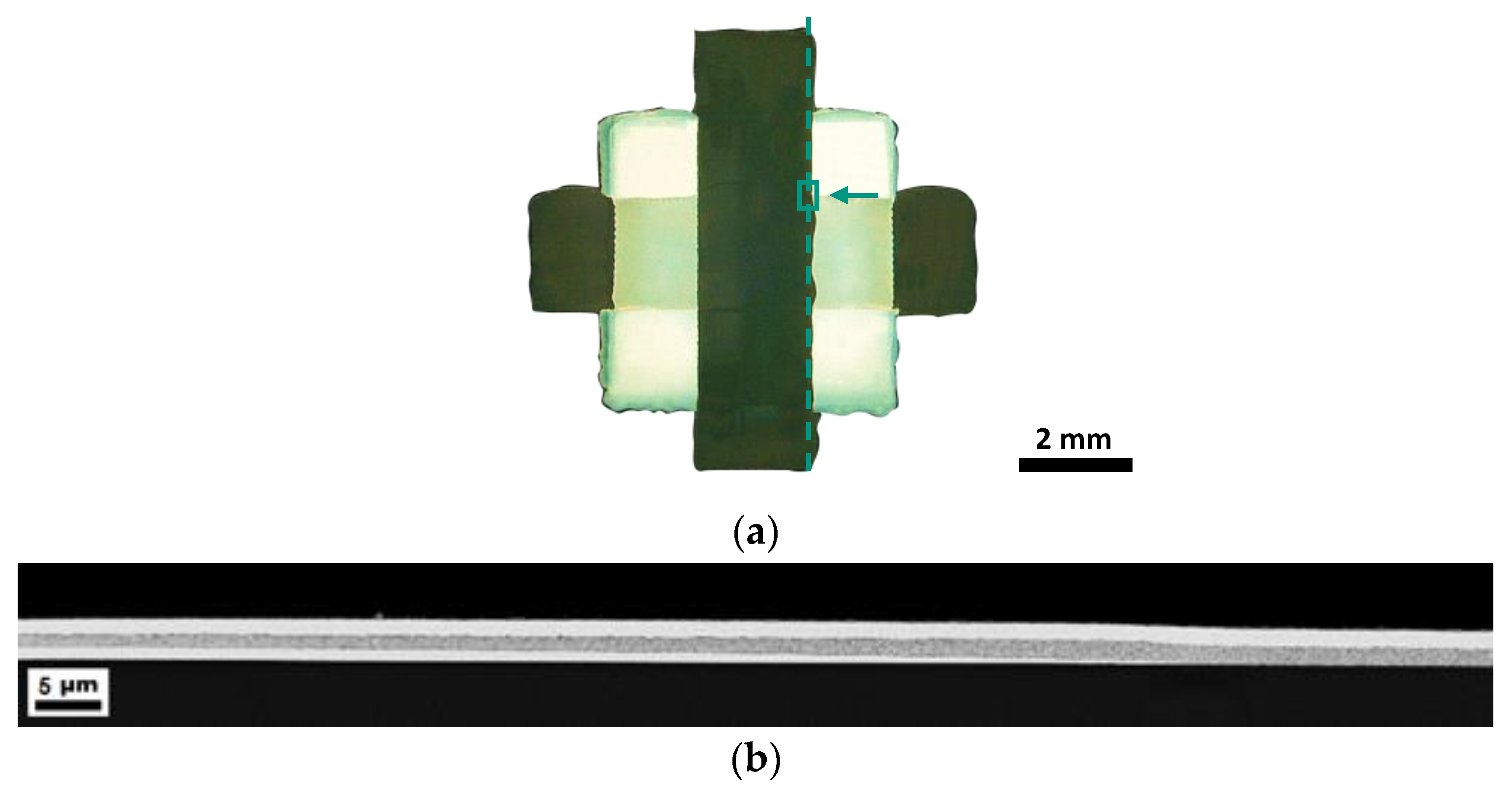 Nanomaterials 13 00441 g006