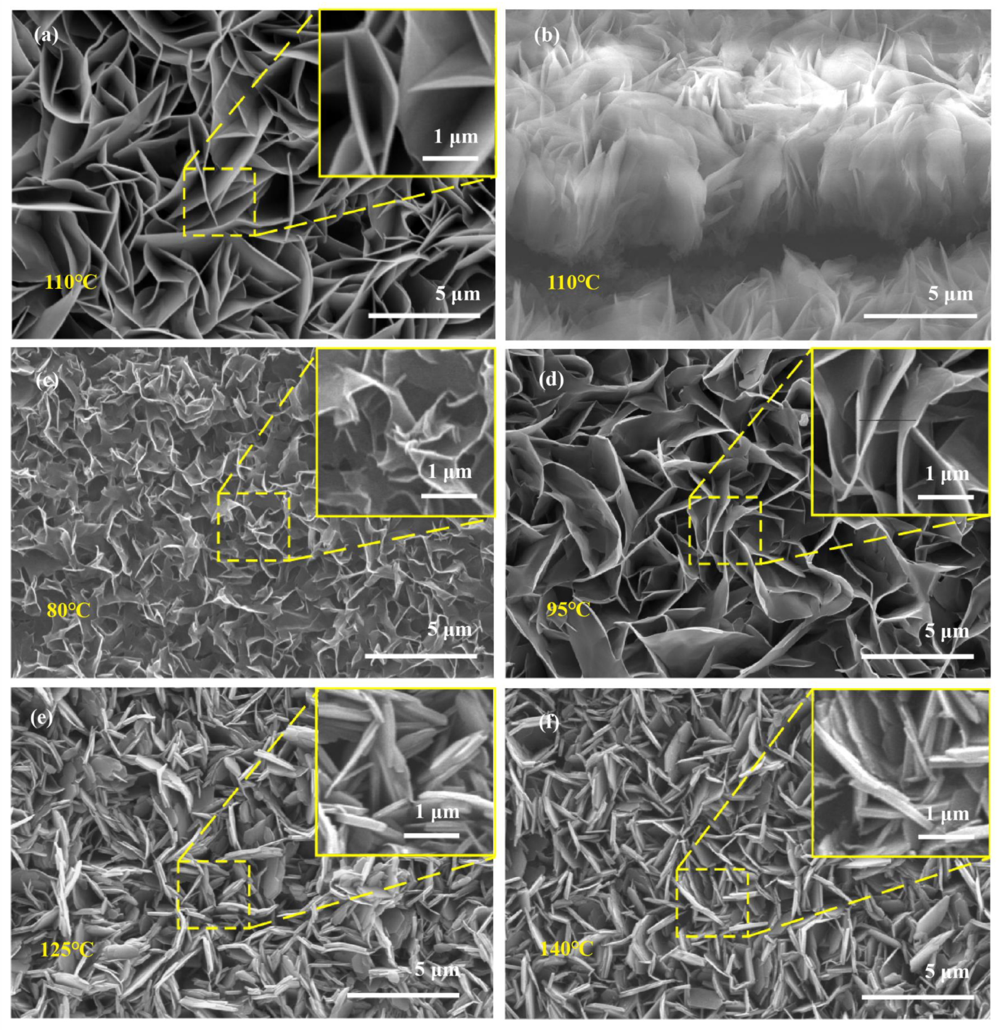 Nanomaterials 13 00443 g001
