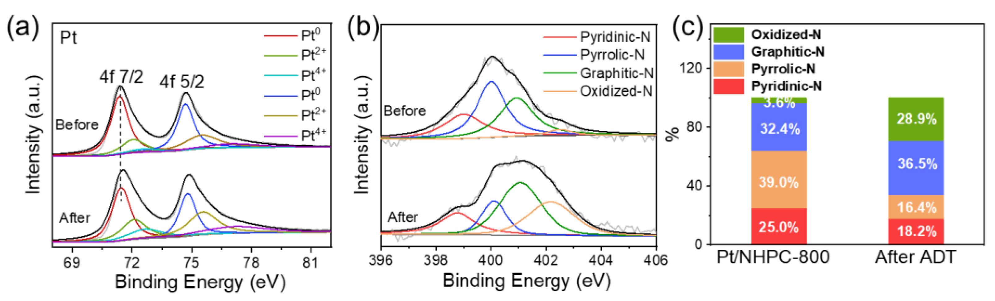 Nanomaterials 13 00444 g009