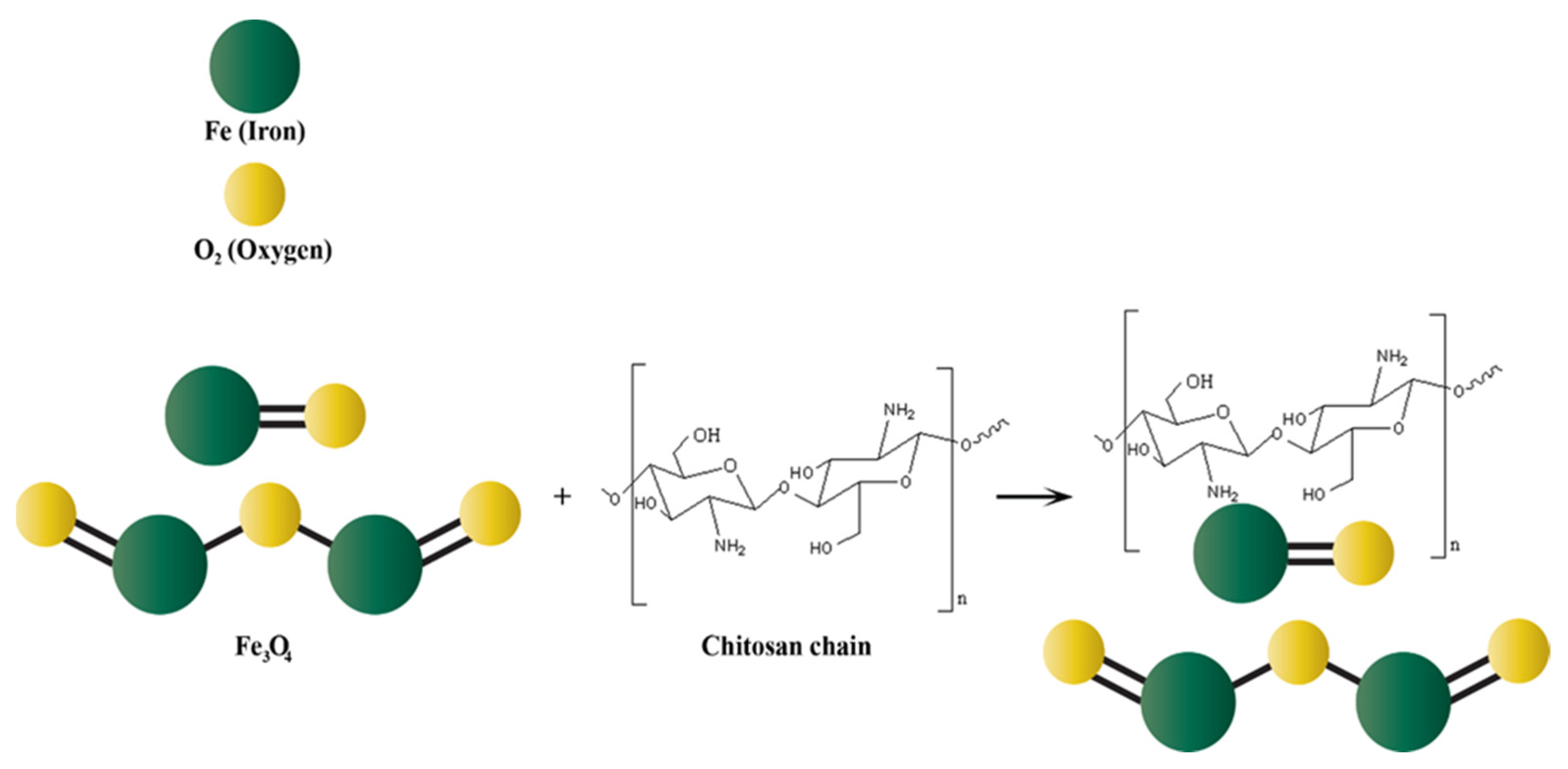 Nanomaterials 13 00447 g007