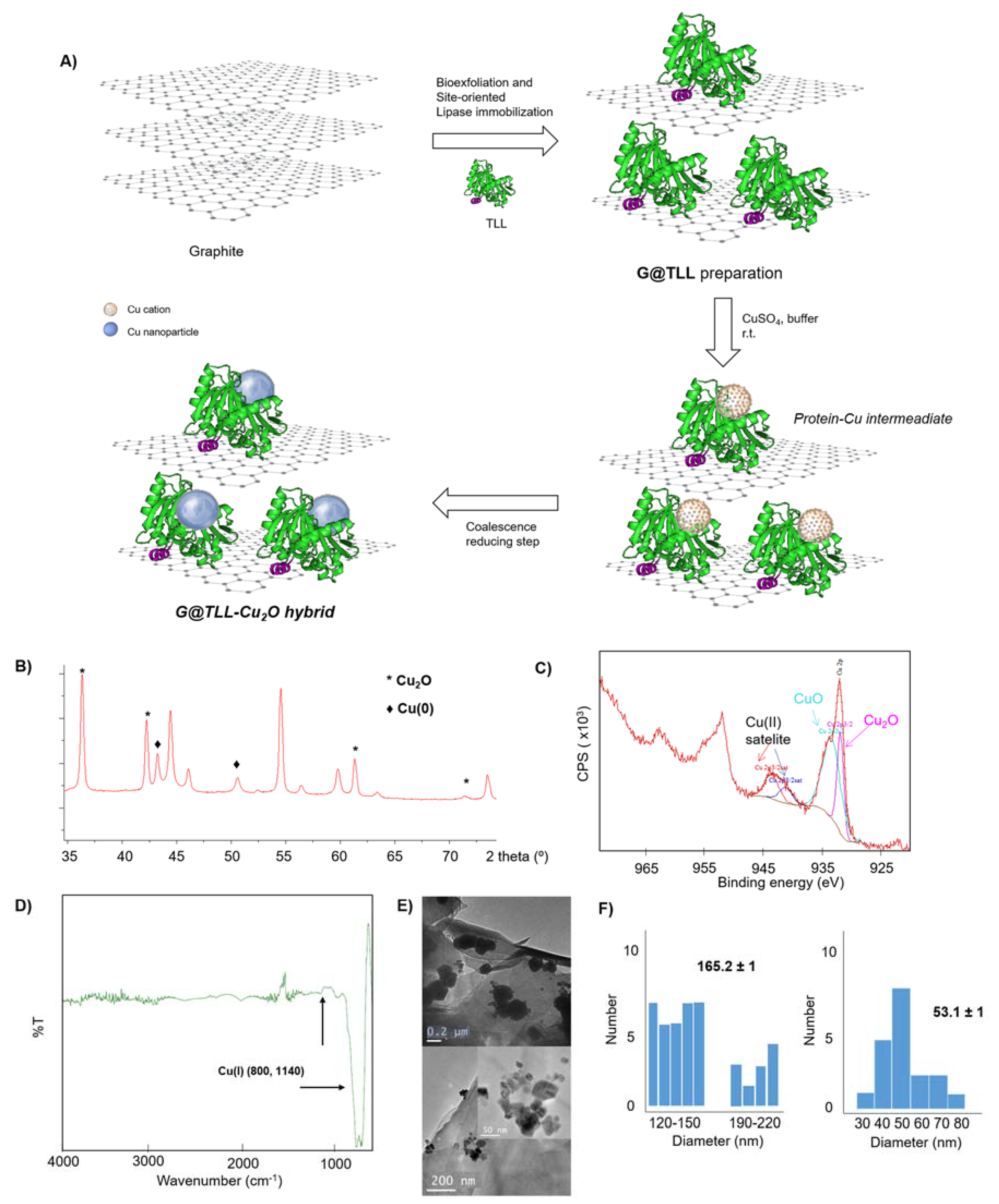 Nanomaterials 13 00449 g001
