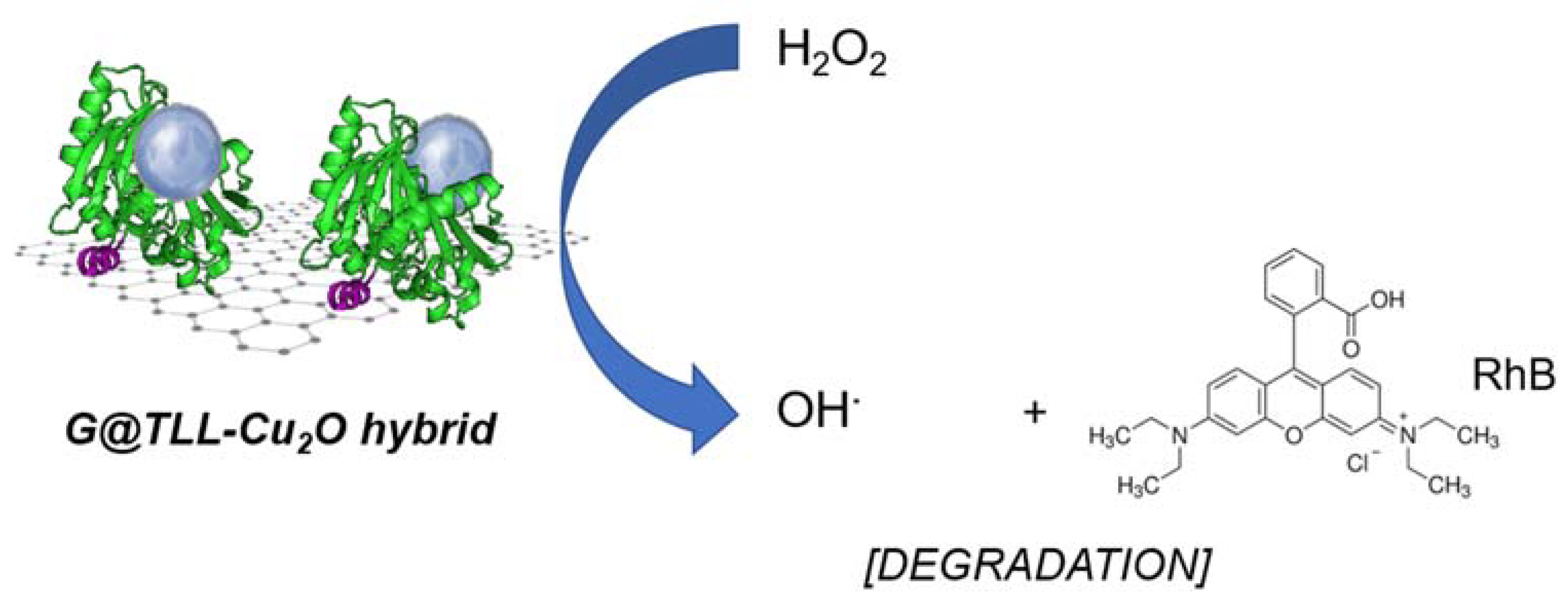 Nanomaterials 13 00449 sch002