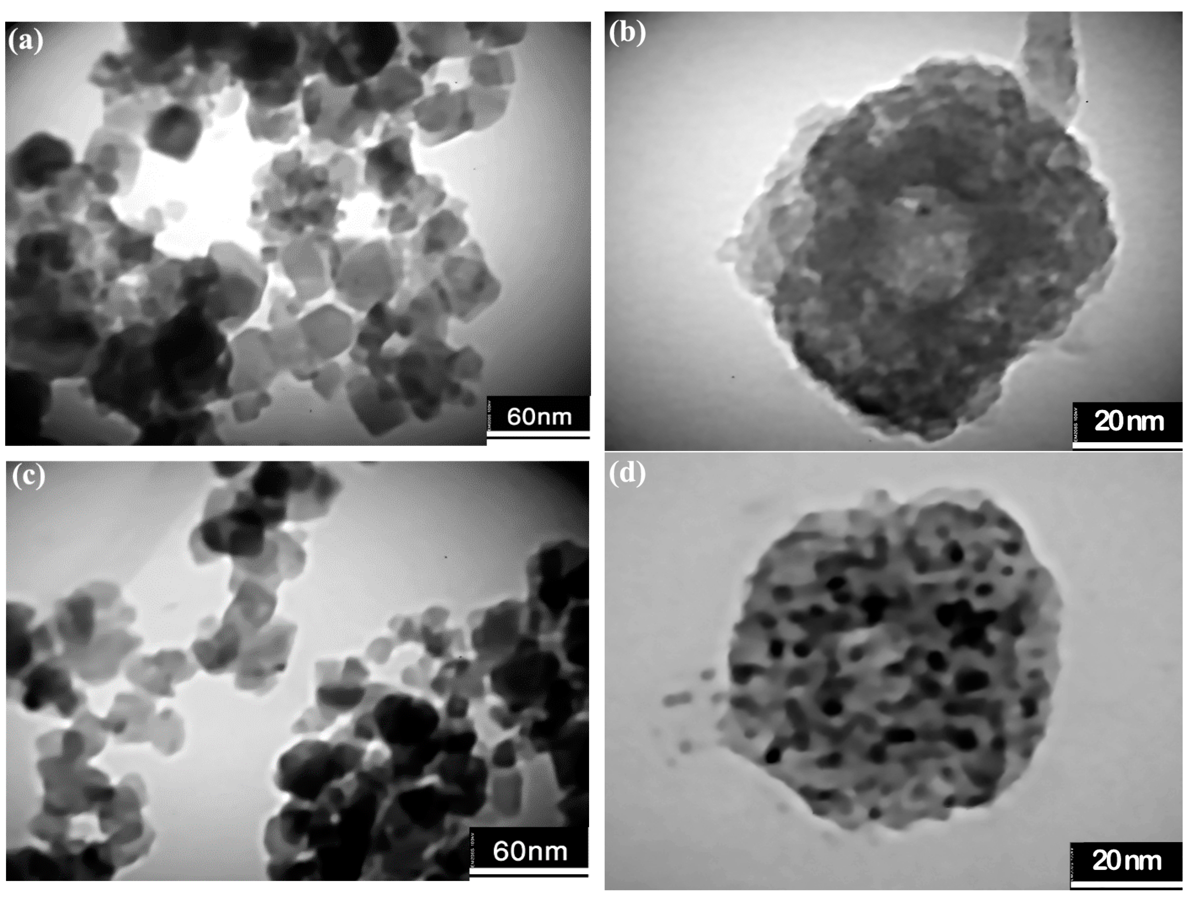 Nanomaterials 13 00452 g005