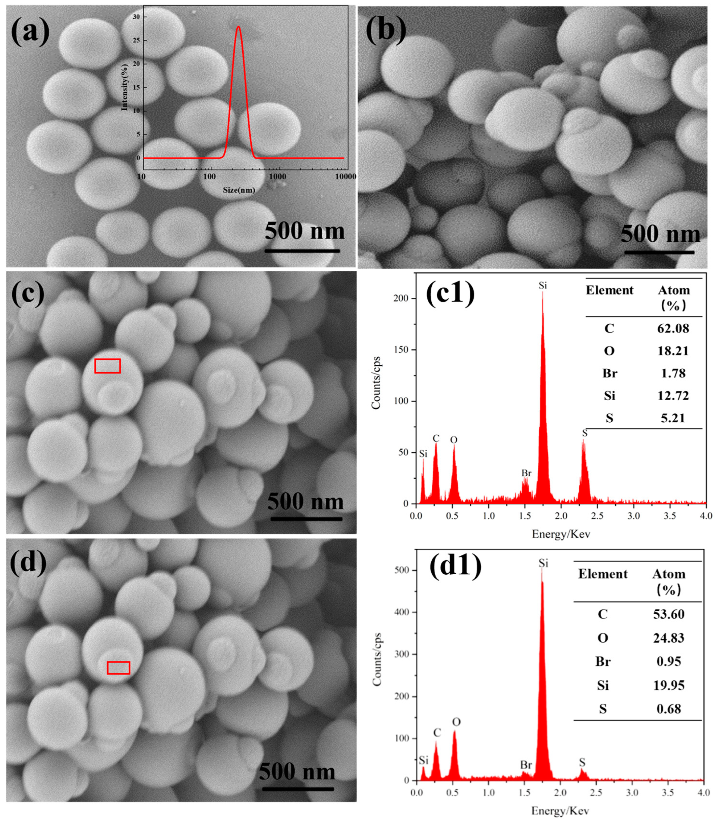 Nanomaterials 13 00455 g002