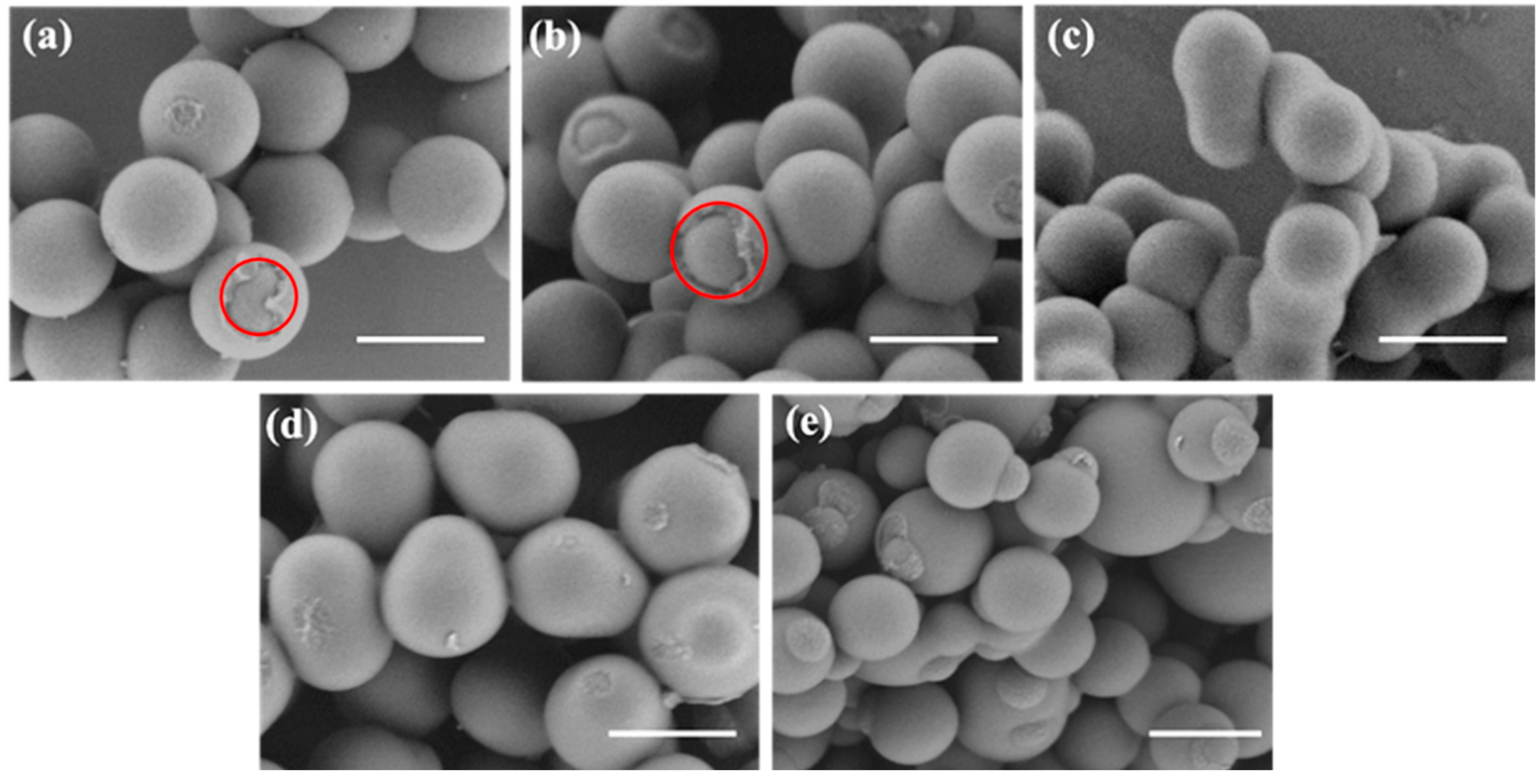 Nanomaterials 13 00455 g003