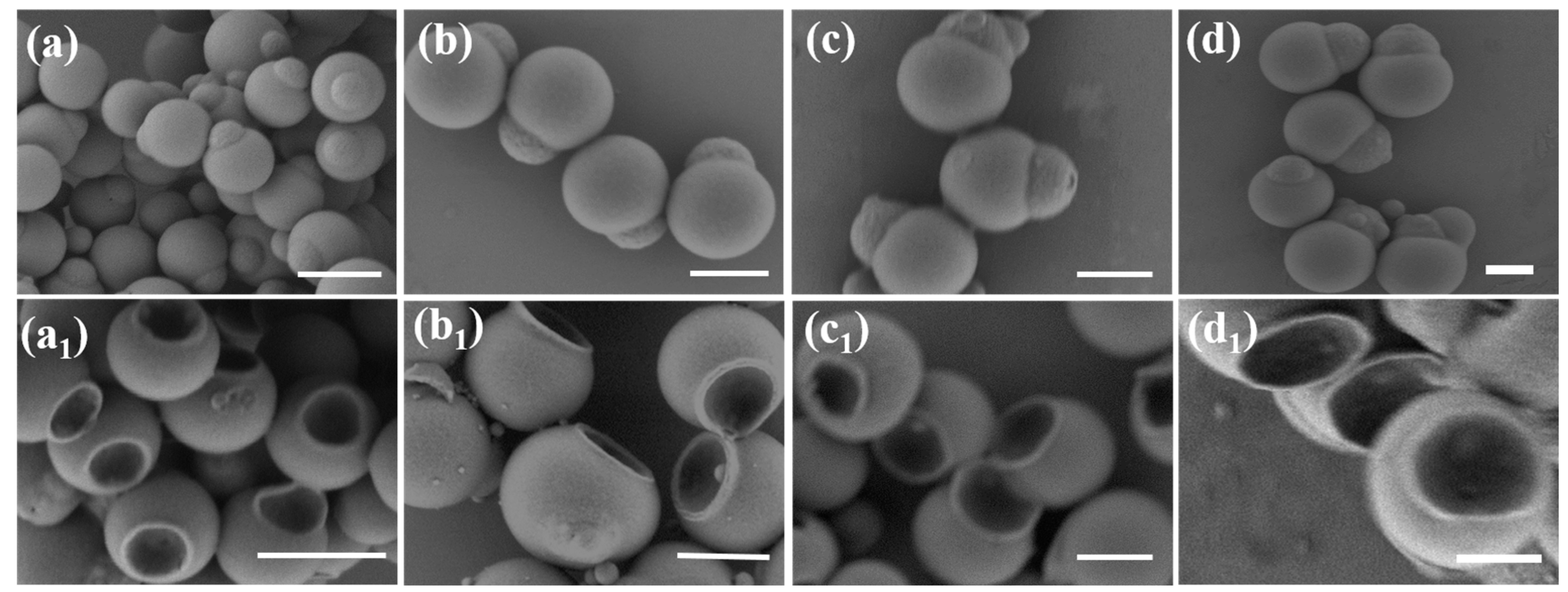 Nanomaterials 13 00455 g005