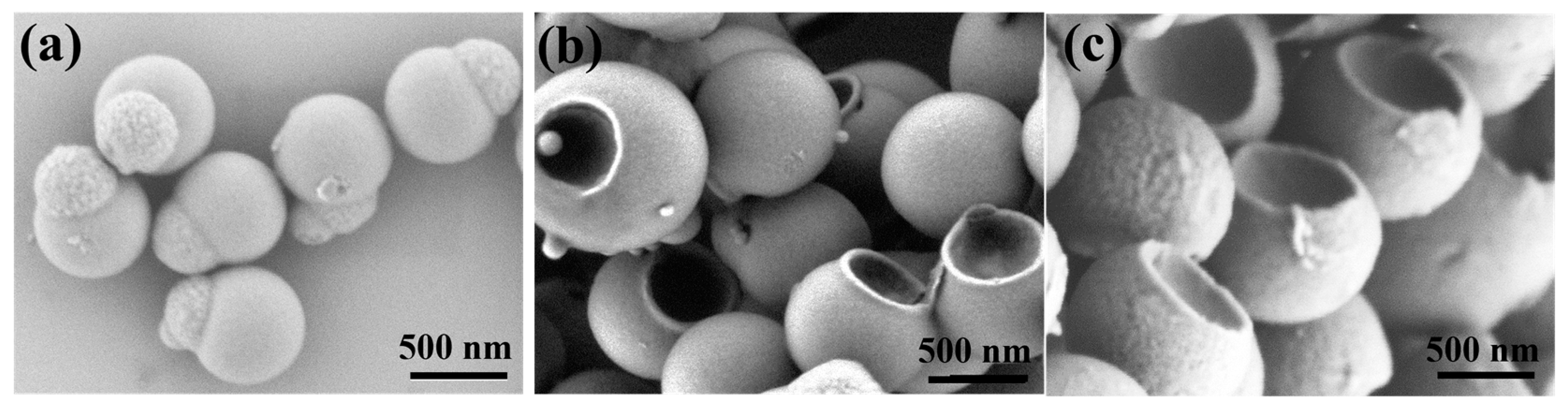 Nanomaterials 13 00455 g006