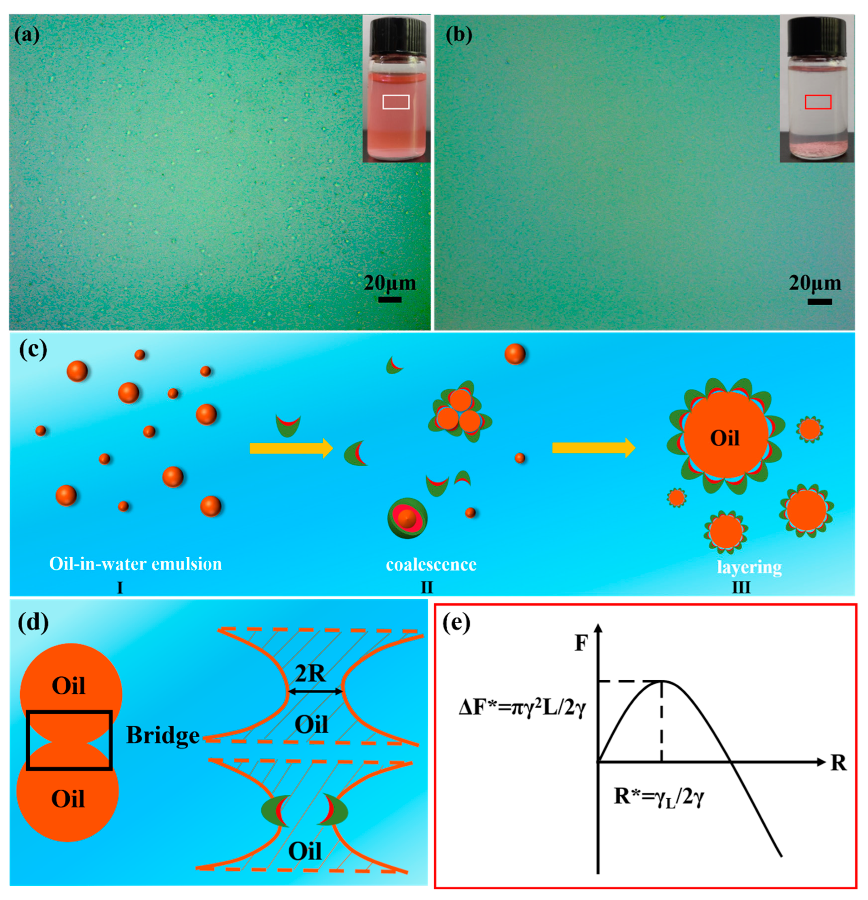 Nanomaterials 13 00455 g009