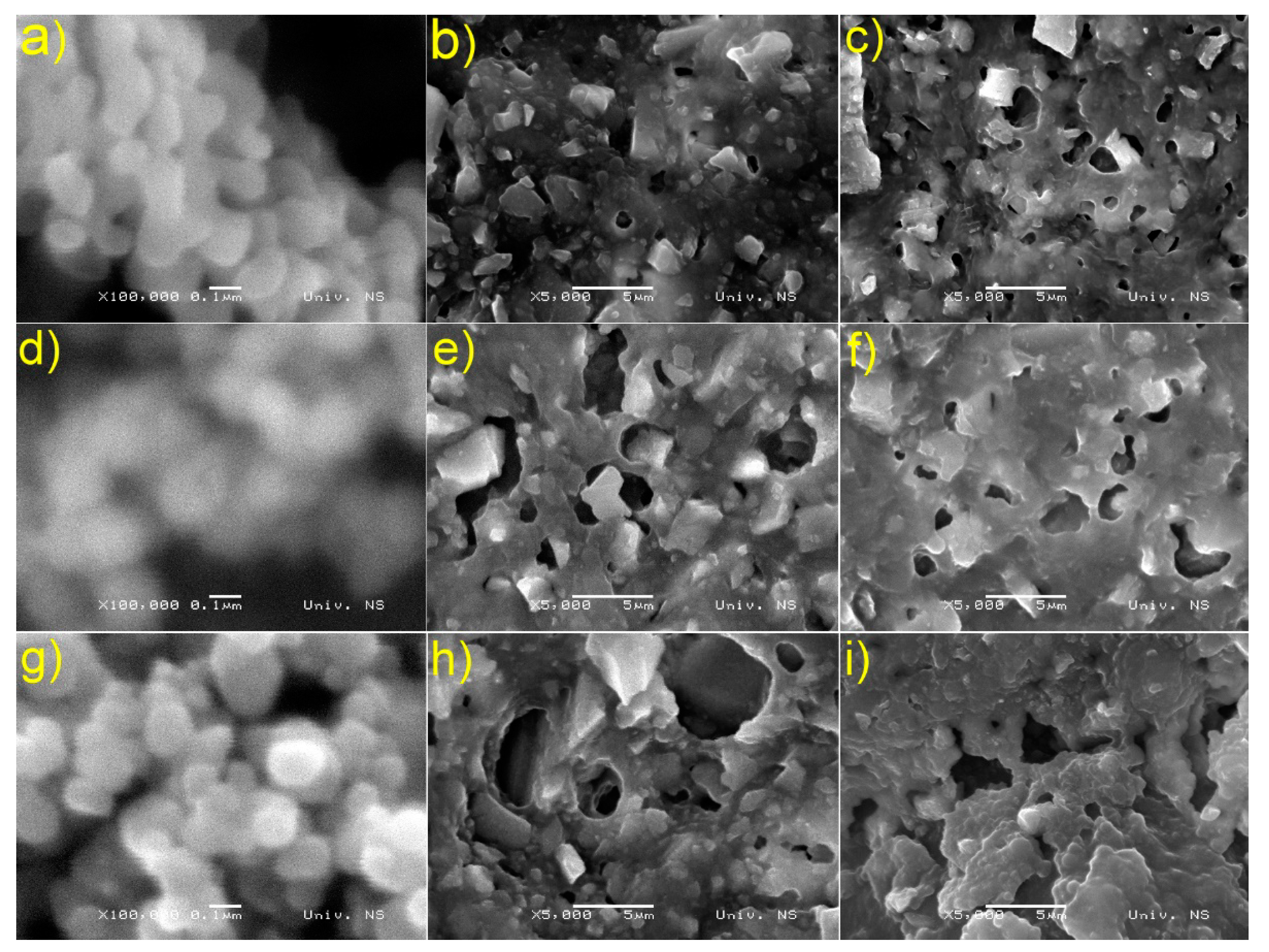 Nanomaterials 13 00460 g003 Nanomaterials 13 00460 g003