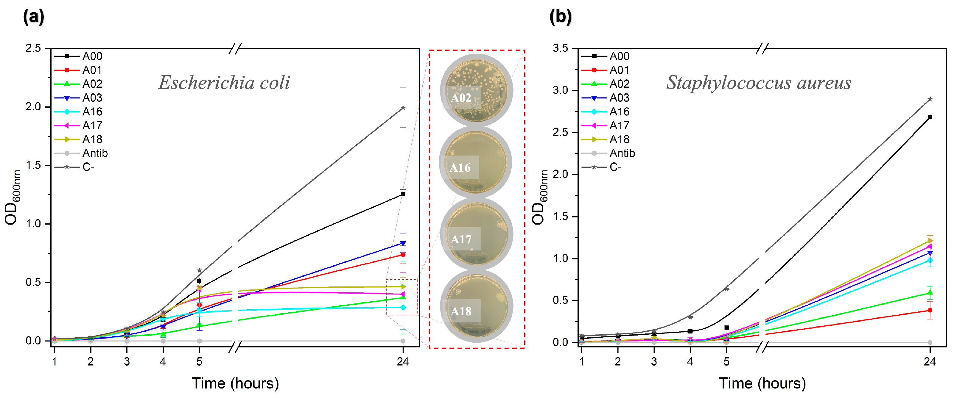 Nanomaterials 13 00463 g009