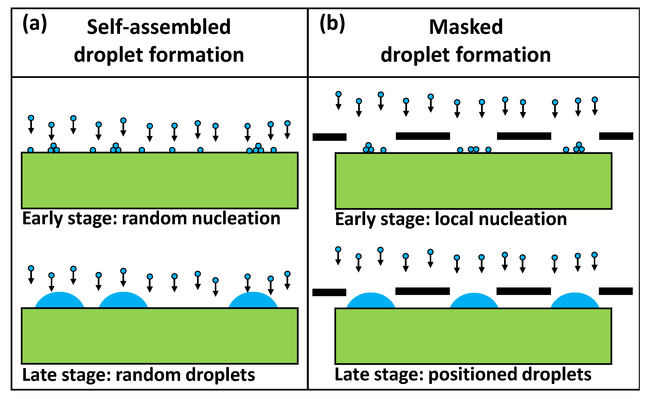 Nanomaterials 13 00466 g001