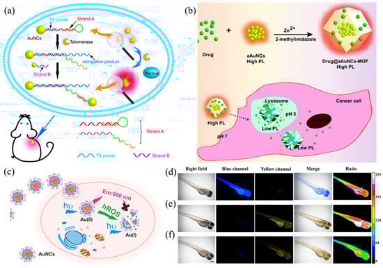 Nanomaterials 13 00470 g007