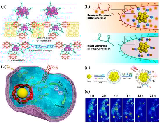 Nanomaterials 13 00470 g008