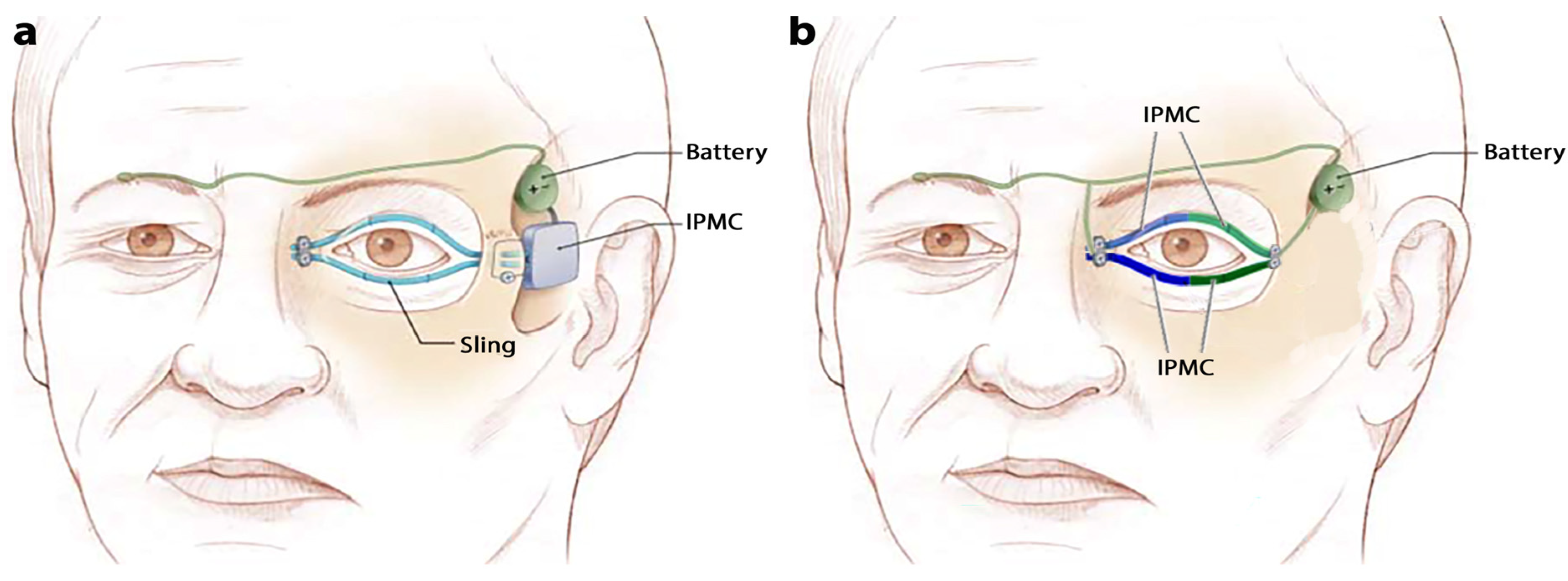 Nanomaterials 13 00473 g001