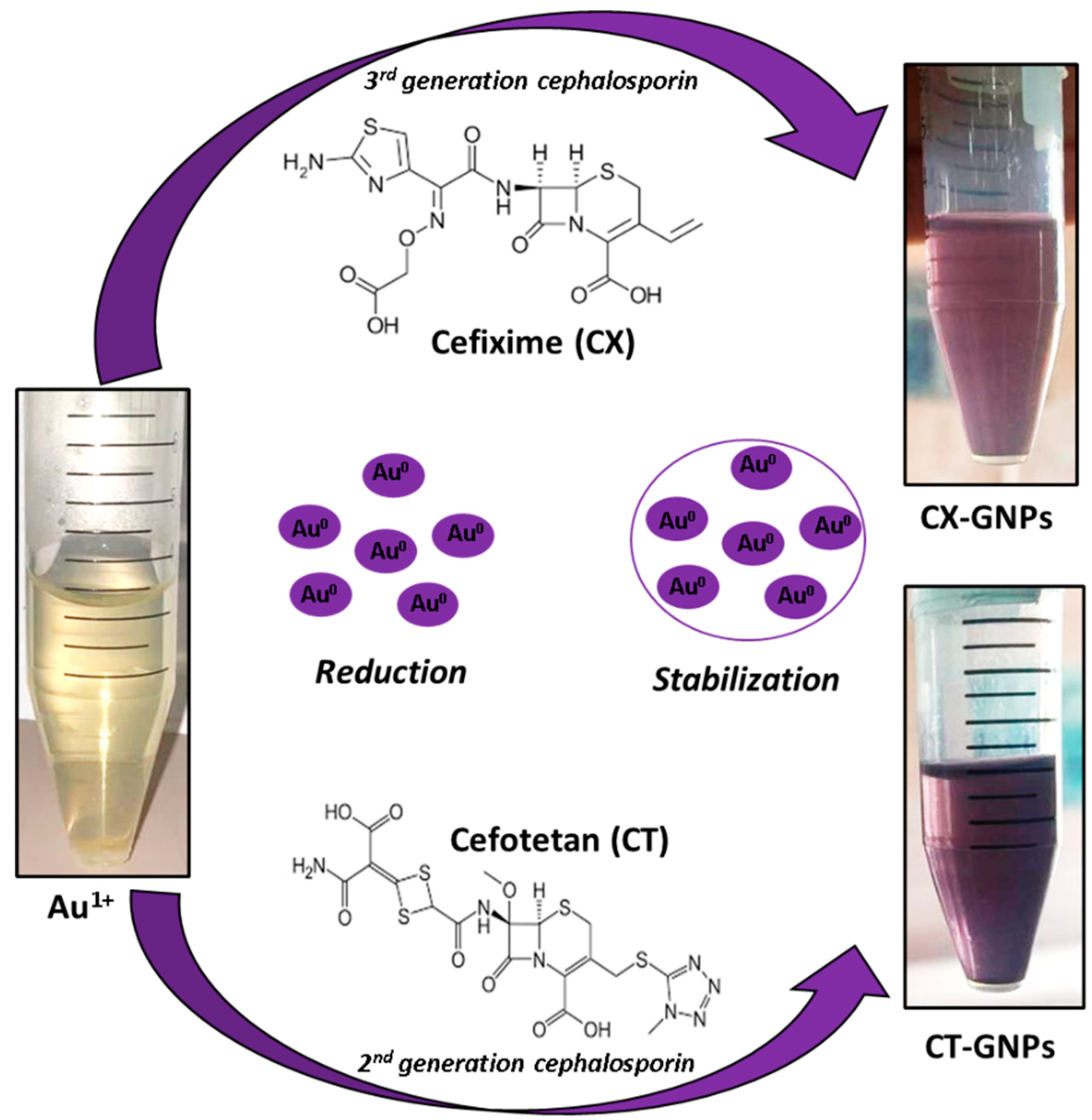 Nanomaterials 13 00475 g001