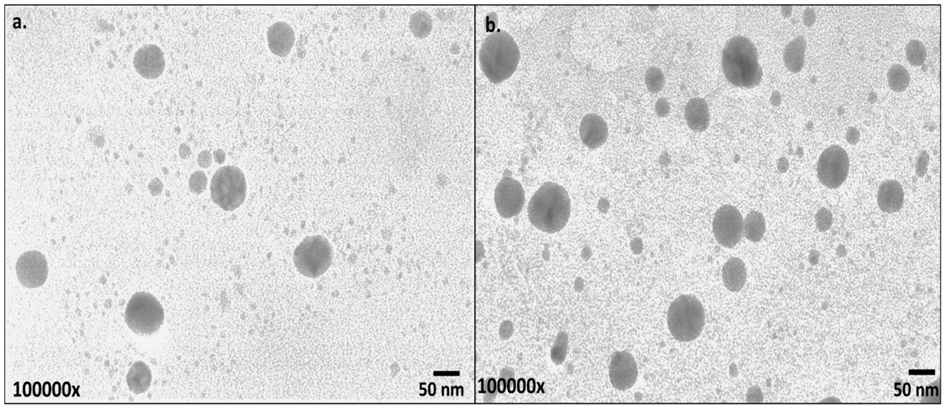 Nanomaterials 13 00475 g005
