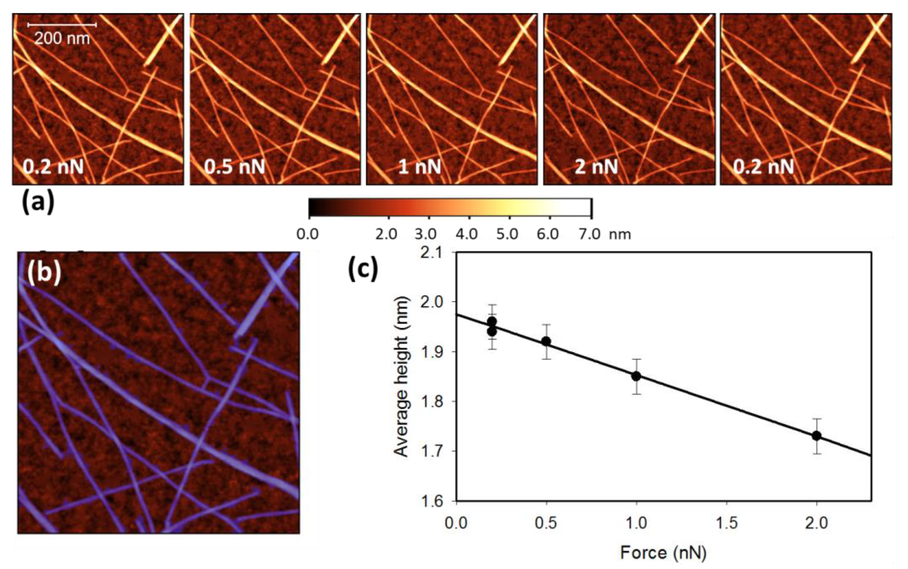 Nanomaterials 13 00477 g001